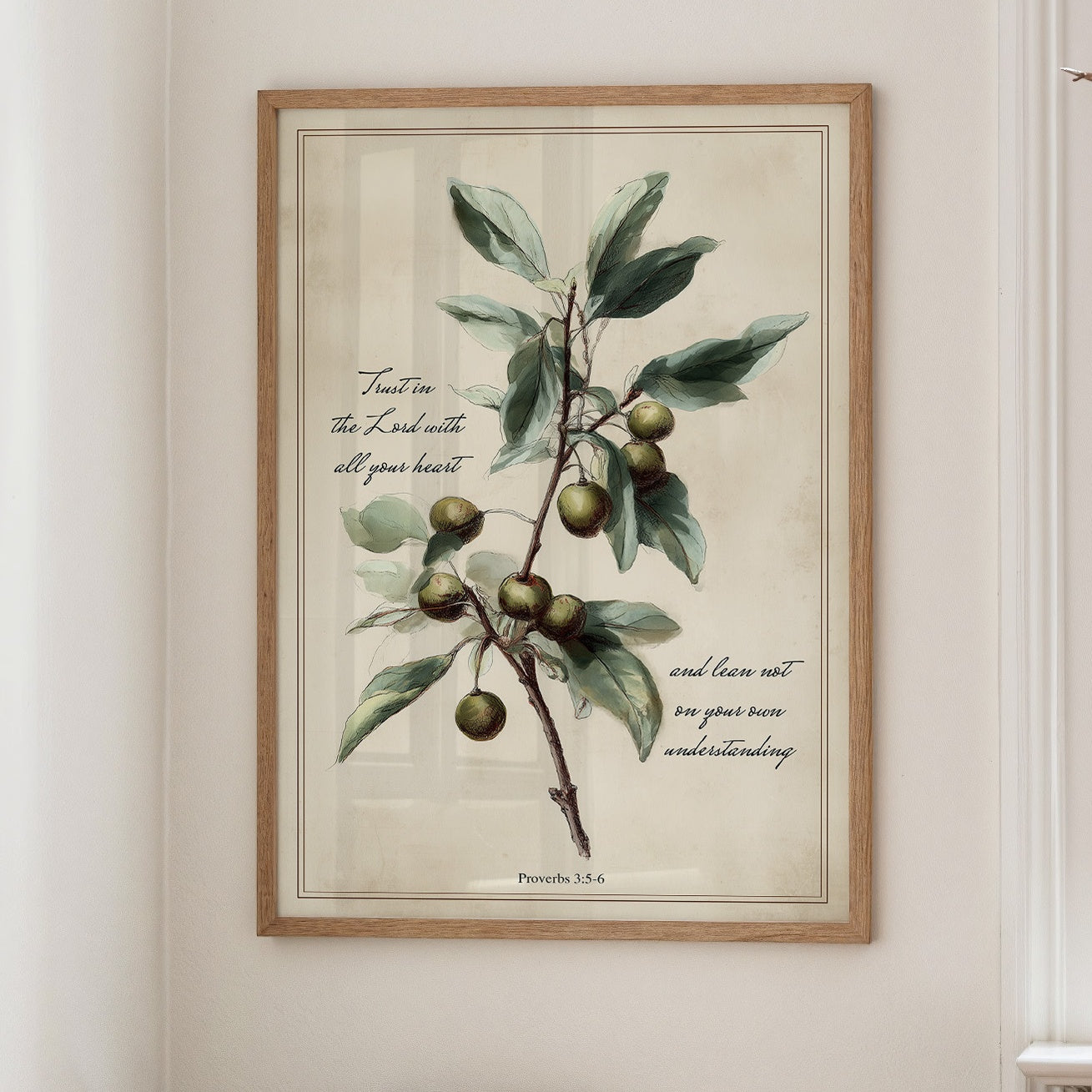 Olive Branch Carries Sacred Wisdom