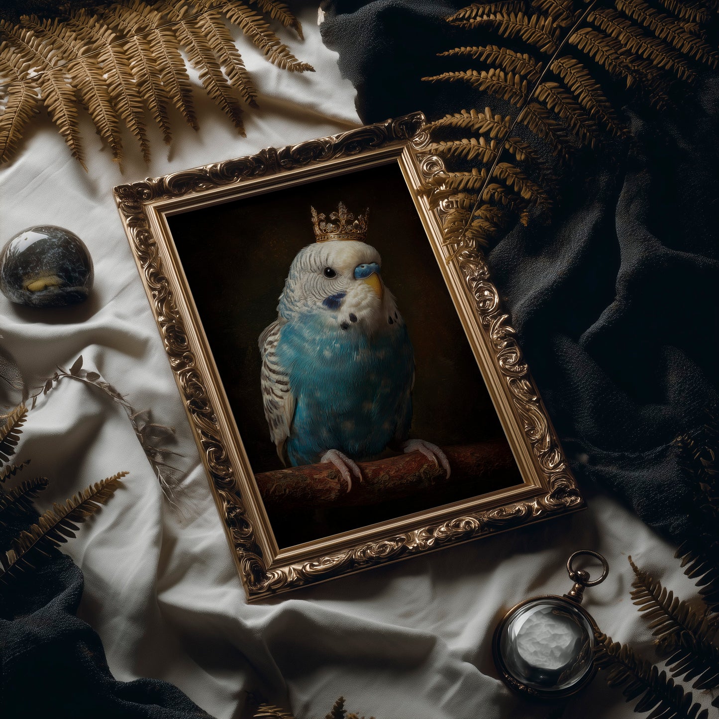 Royal Plumage In Midnight Court