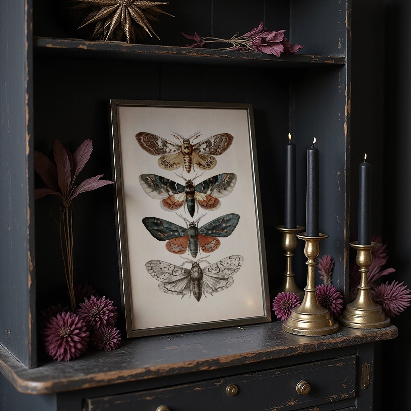 Nocturnal Symphony: Moths in Vintage Illustration