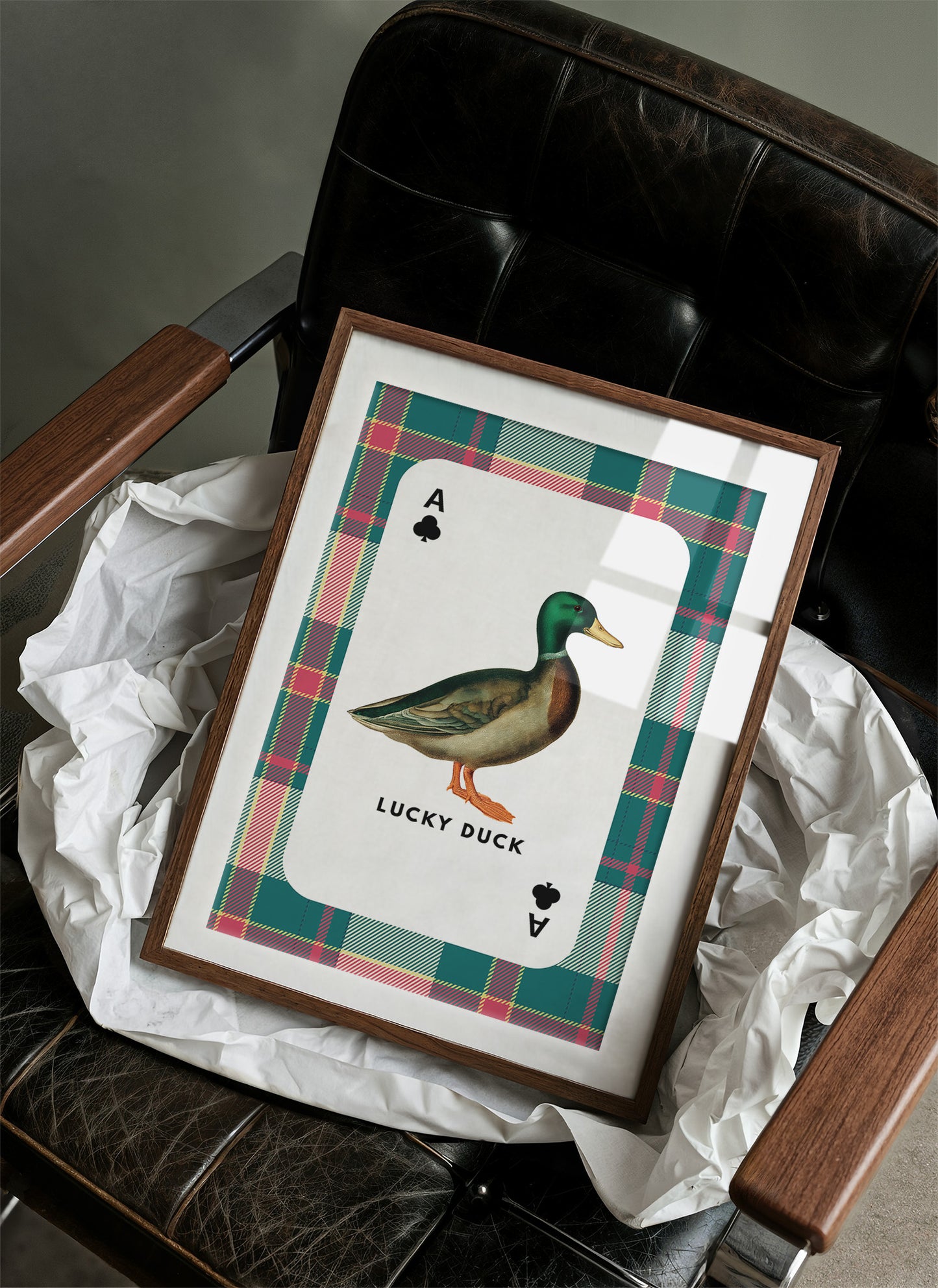 Highland Gambit: Ace of Mallards