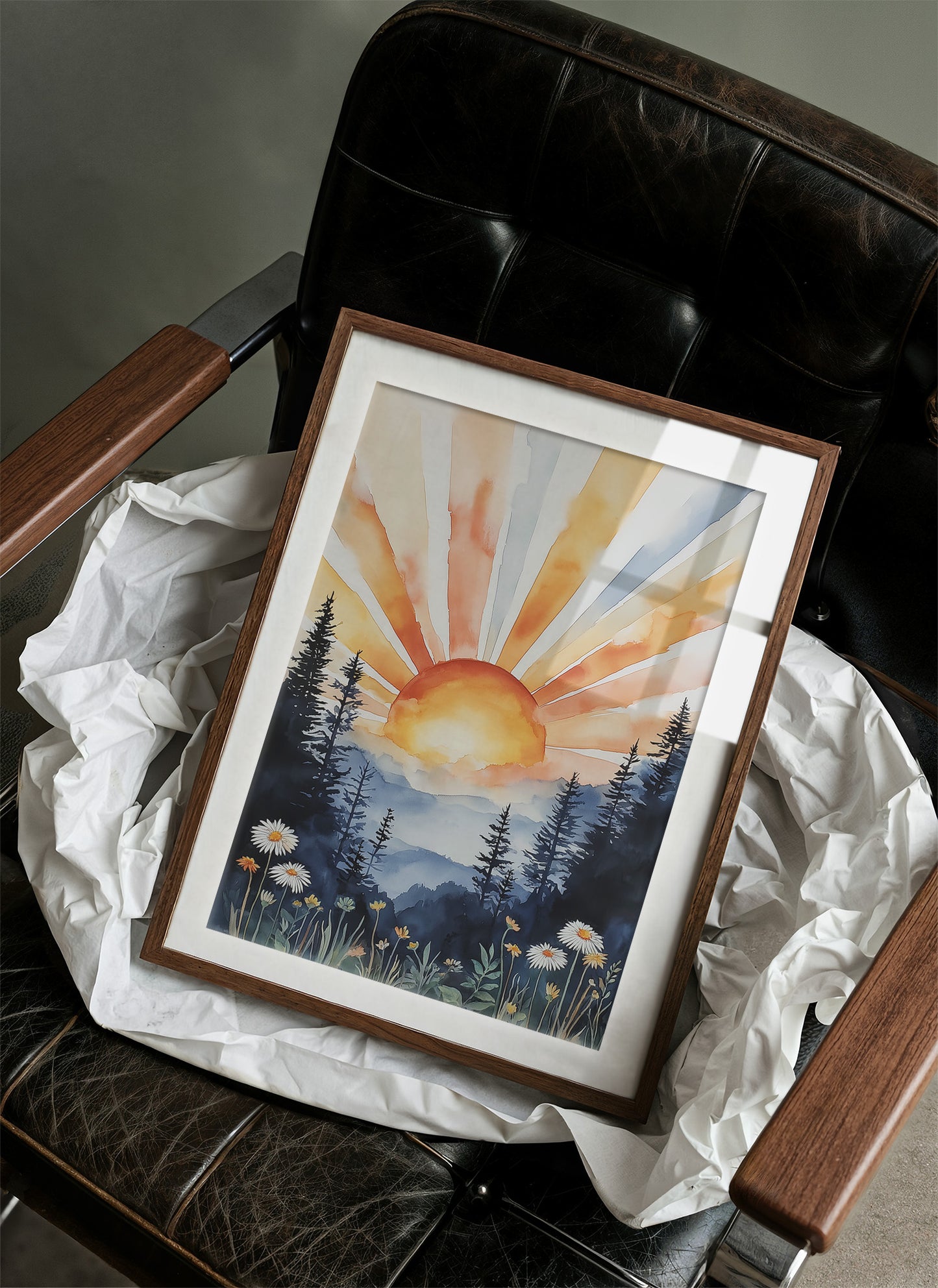 Daisies Dance At Mountain Dawn