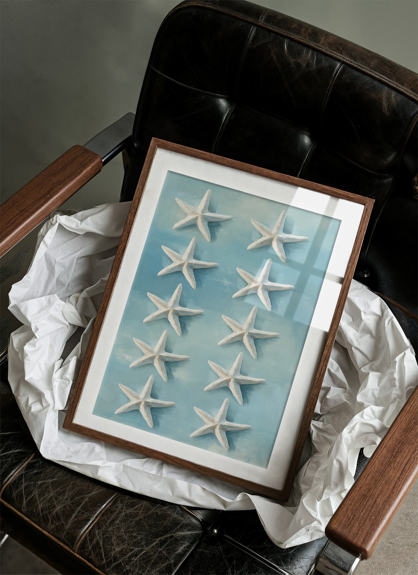 Sea Stars Float On Aqua Tide