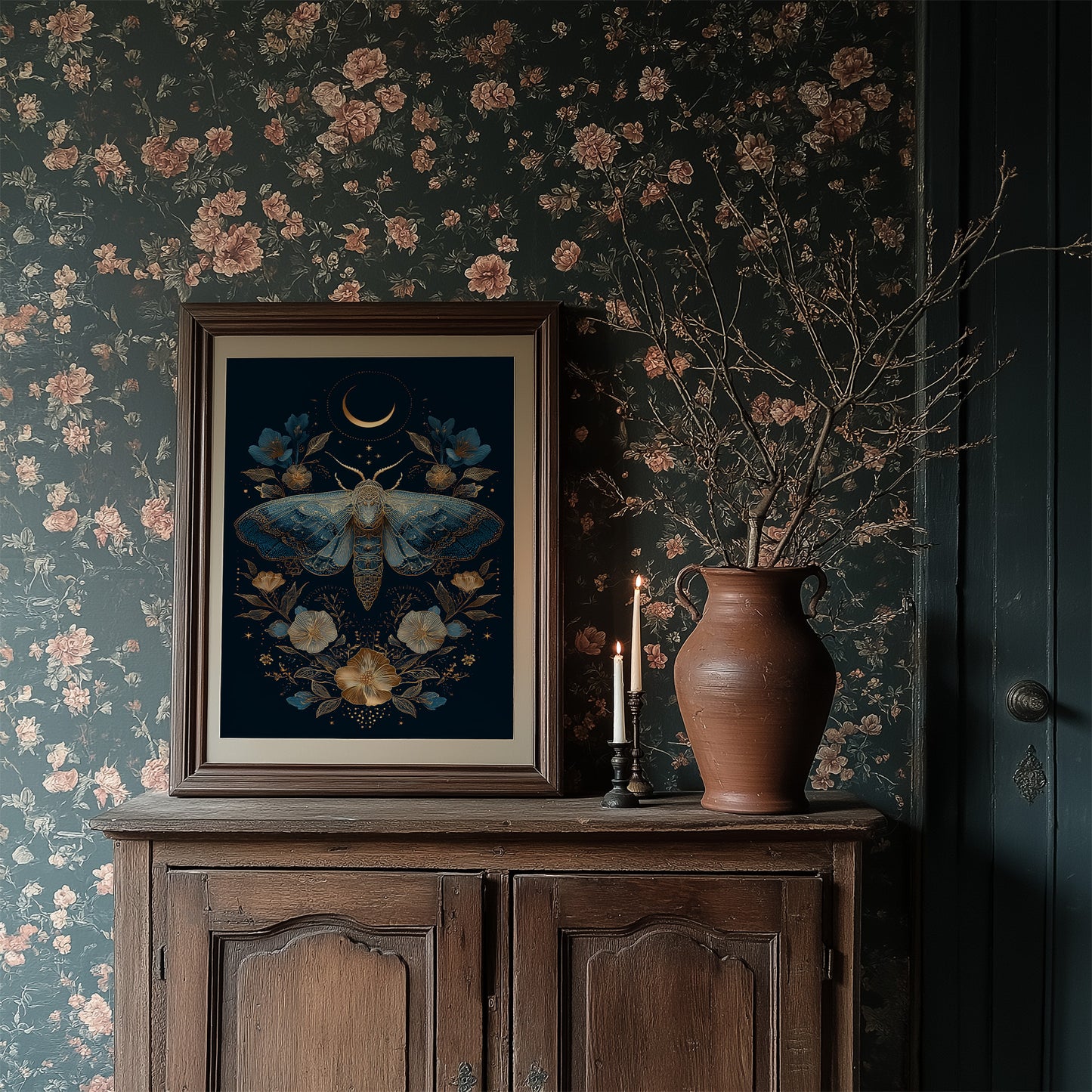 Midnight Moth Dances With Stars