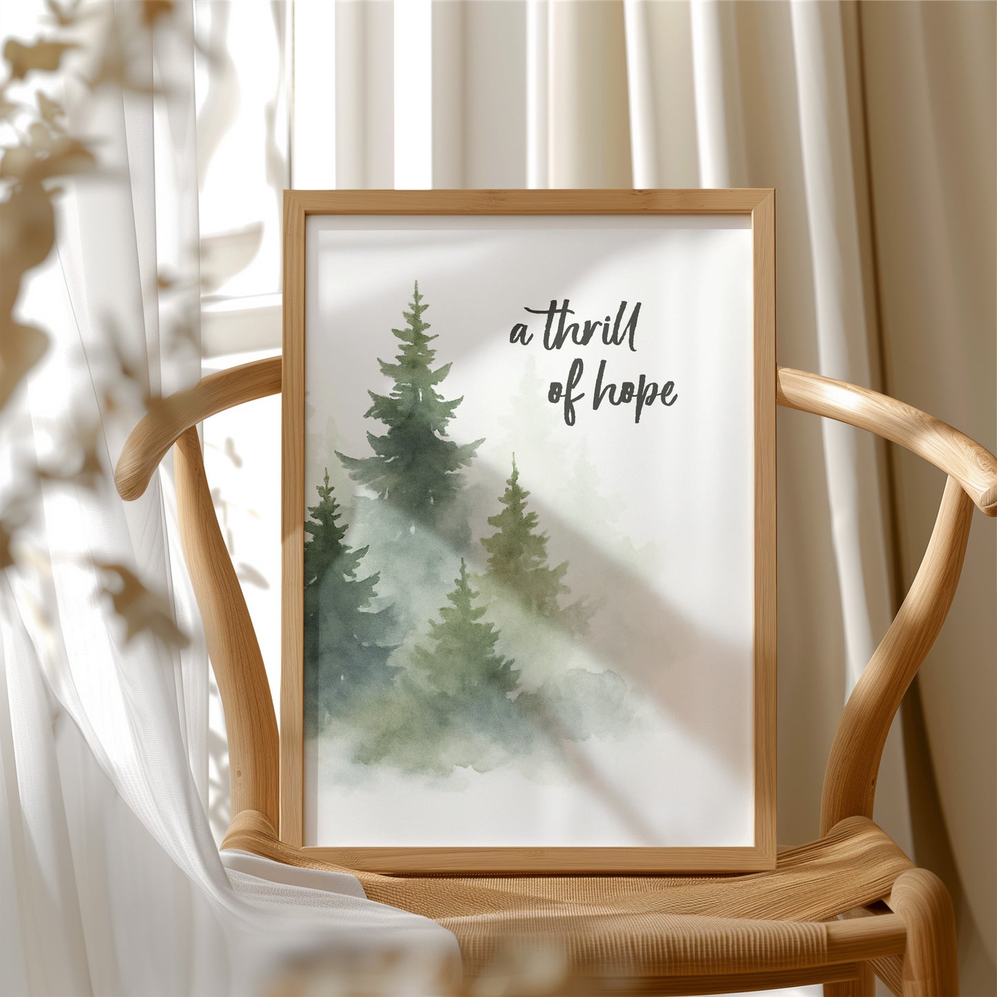 Evergreens Carry Quiet Promises