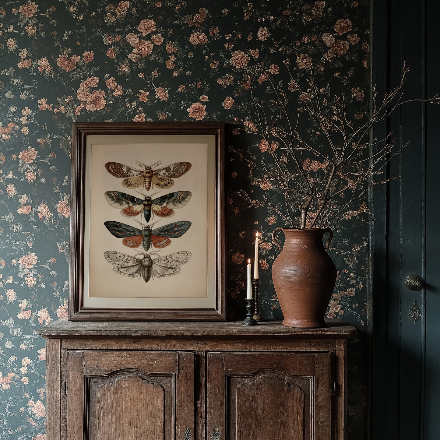 Nocturnal Symphony: Moths in Vintage Illustration