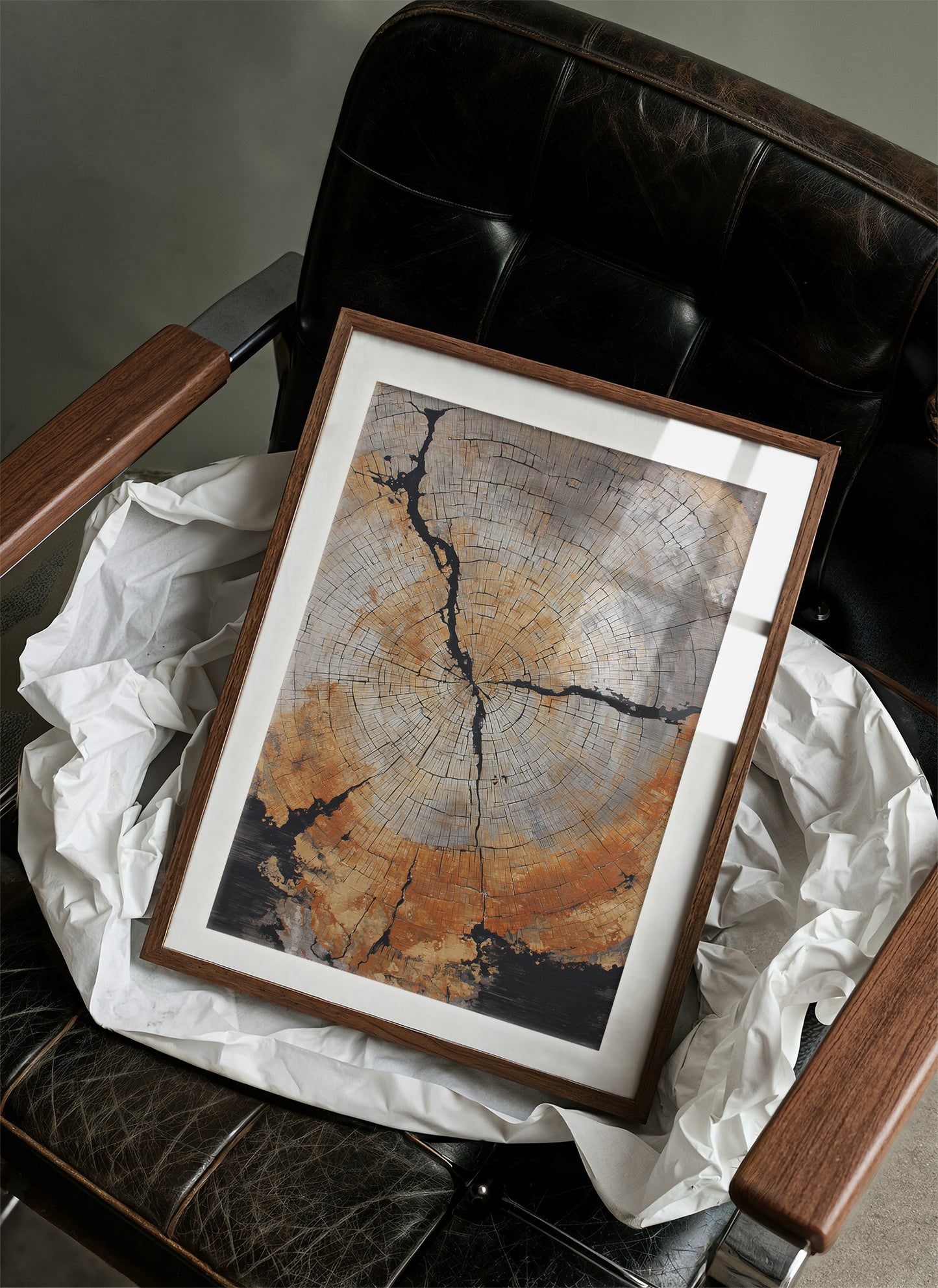 Time Circles Through Ancient Wood