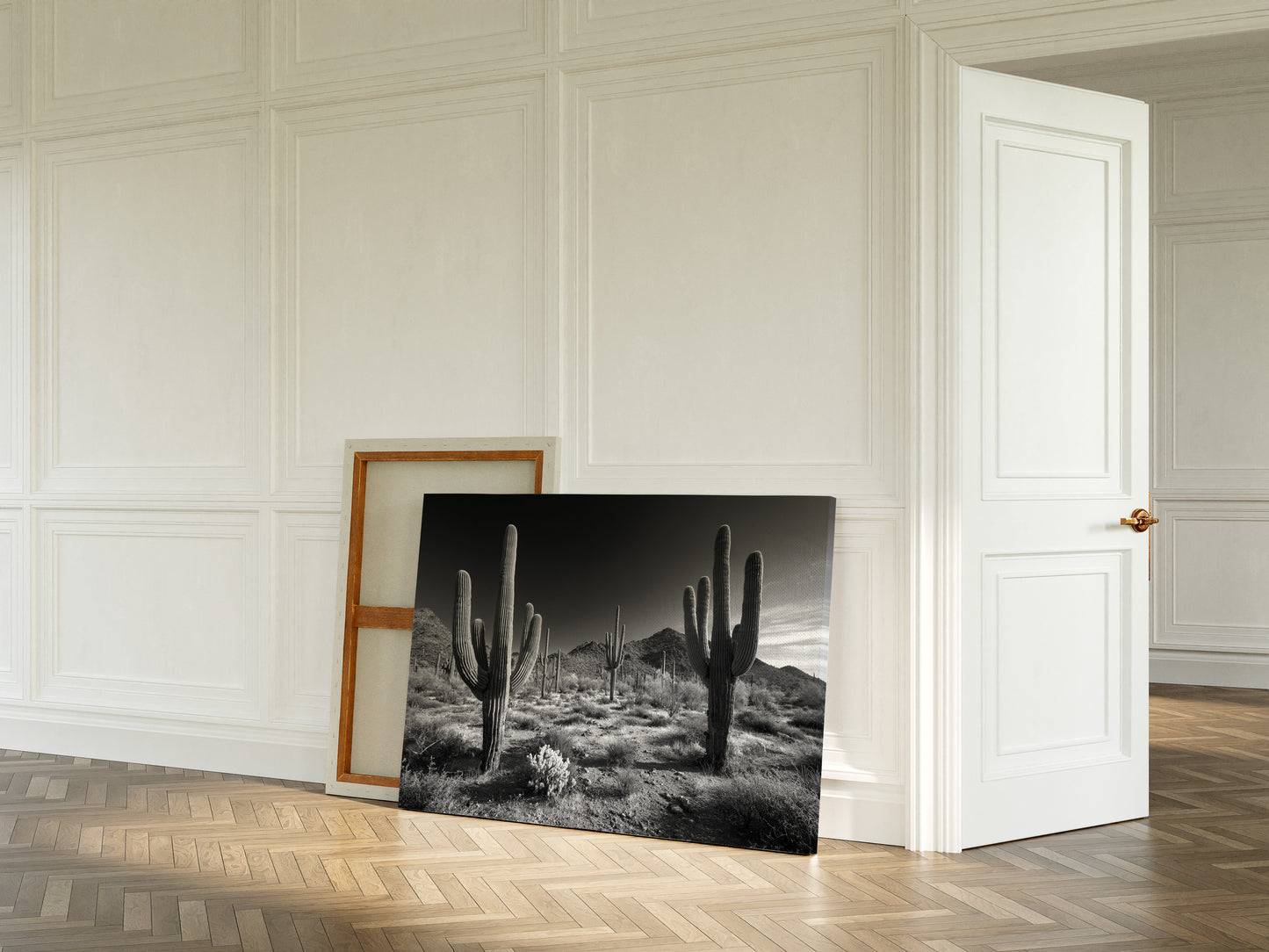 Sentinels of the Sonoran