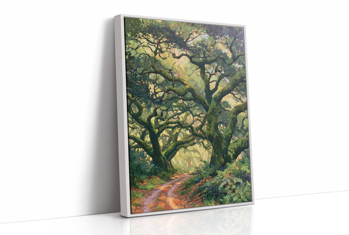 Sunlit Path Beneath the Oaks