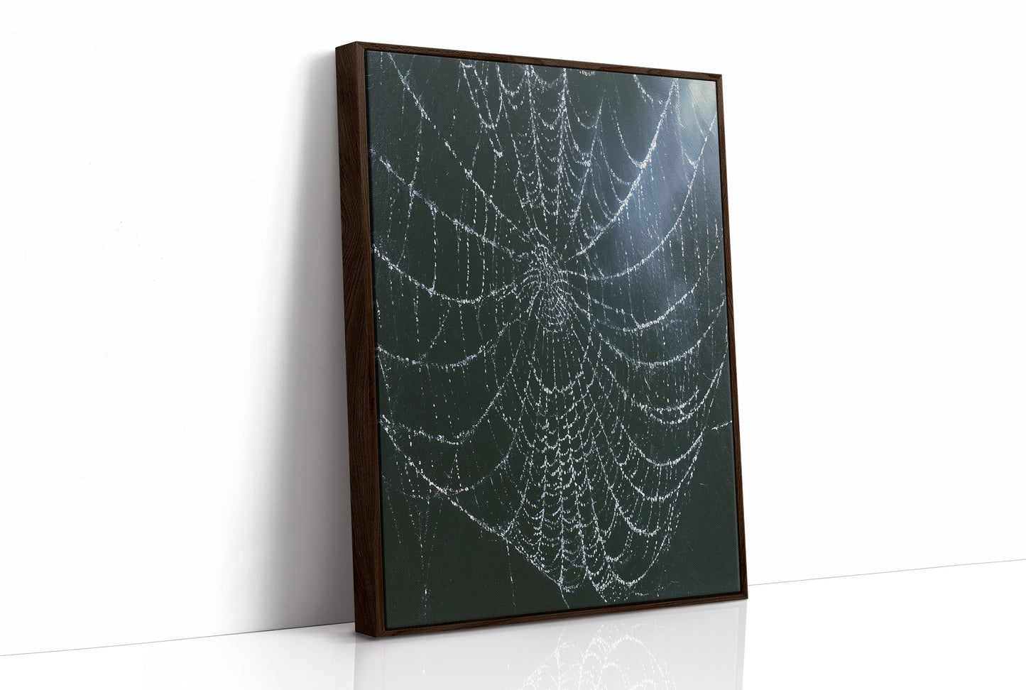 Dew-Kissed Web at Dusk