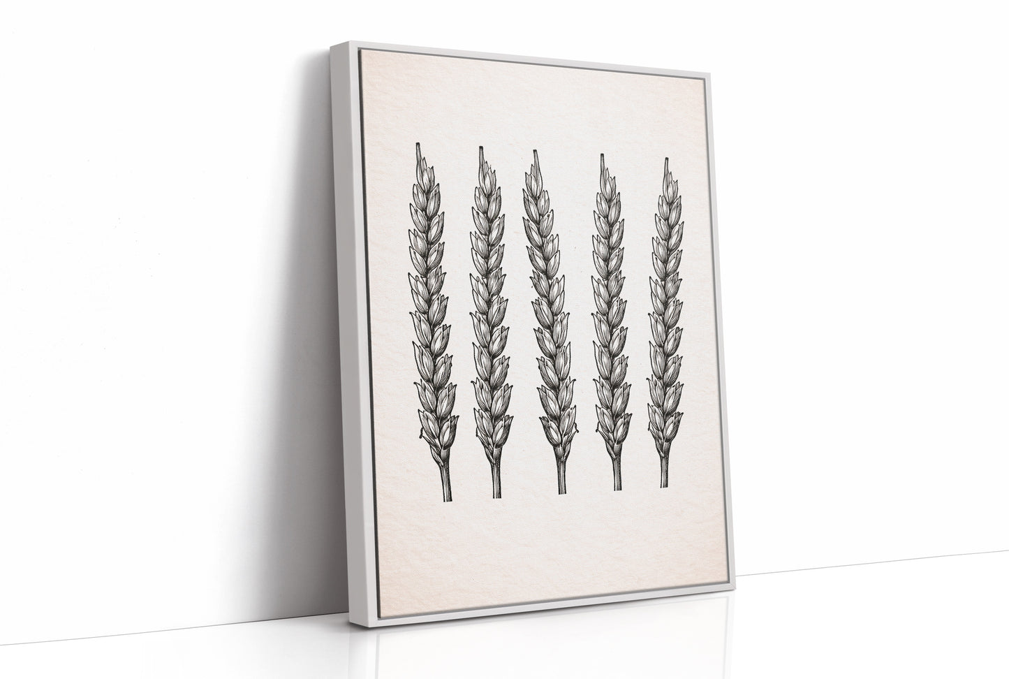 Wheat Stalks Stand in Silent Formation