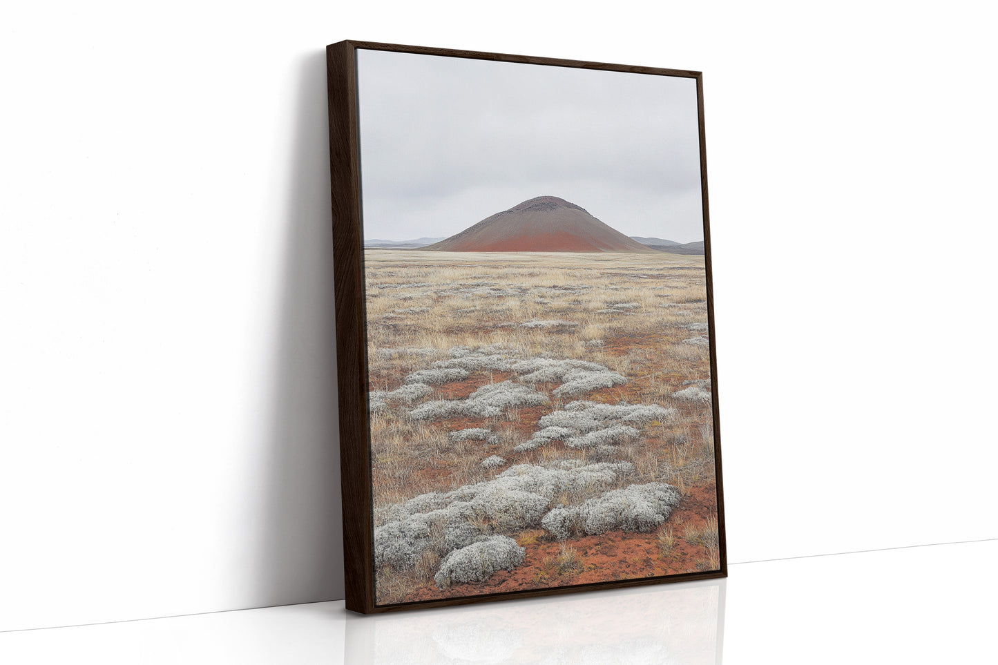 Red Mountain Meets Silver Sage