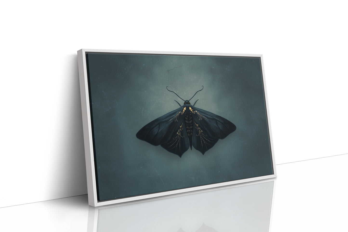 Velvet Wings Among Leather Spines