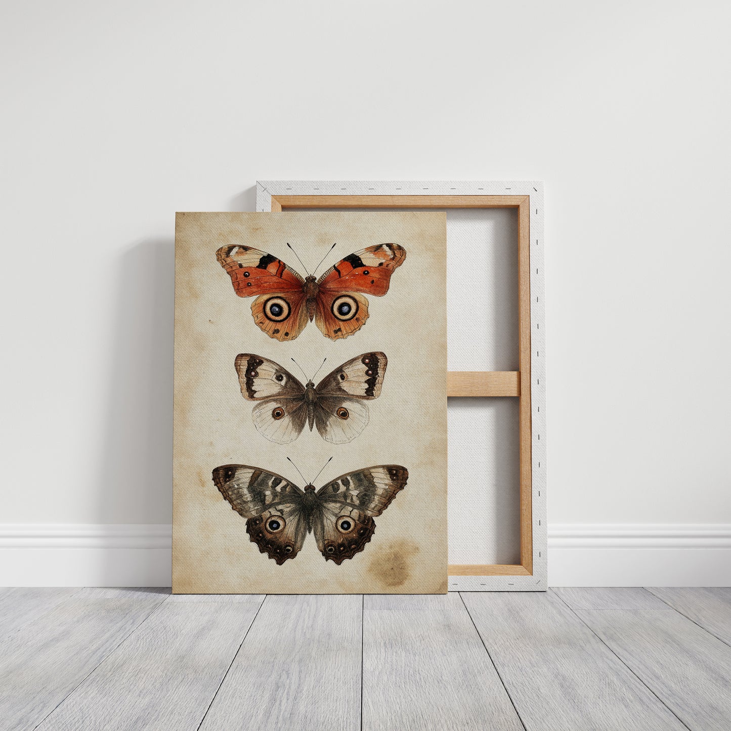 A Tapestry of Winged Wonders
