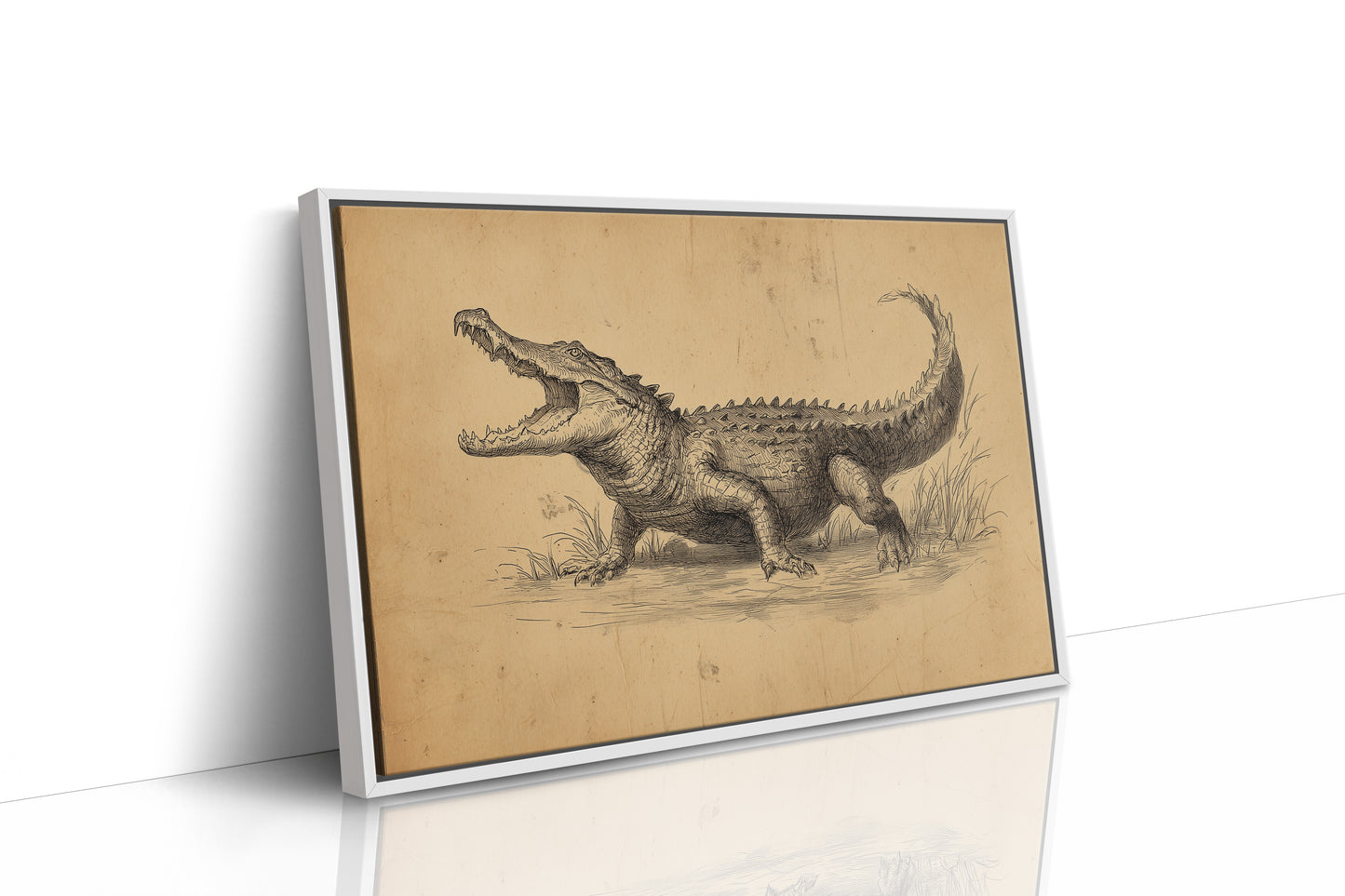 Ancient Scales Tell Bayou Tales