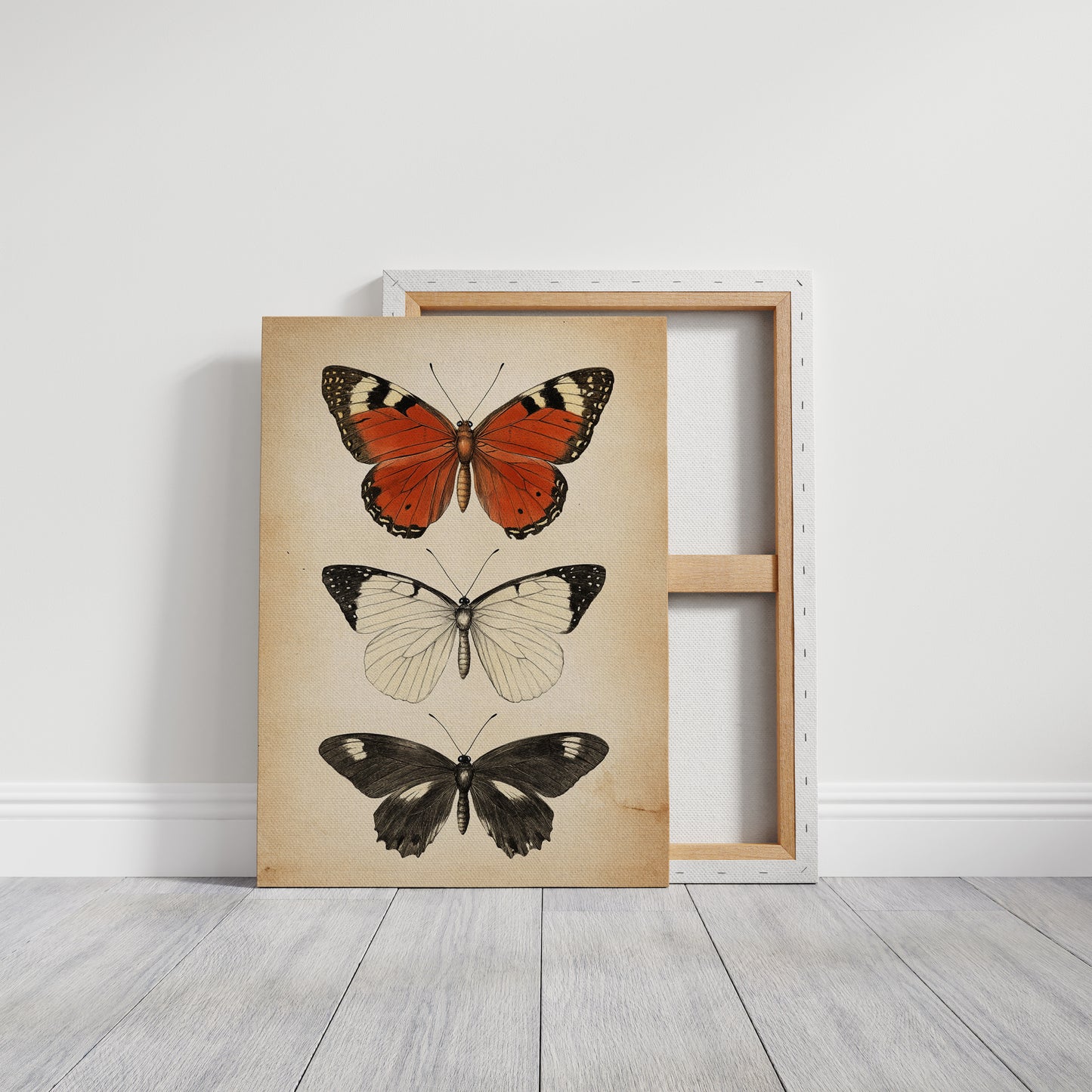 Flight Through Timeless Patterns