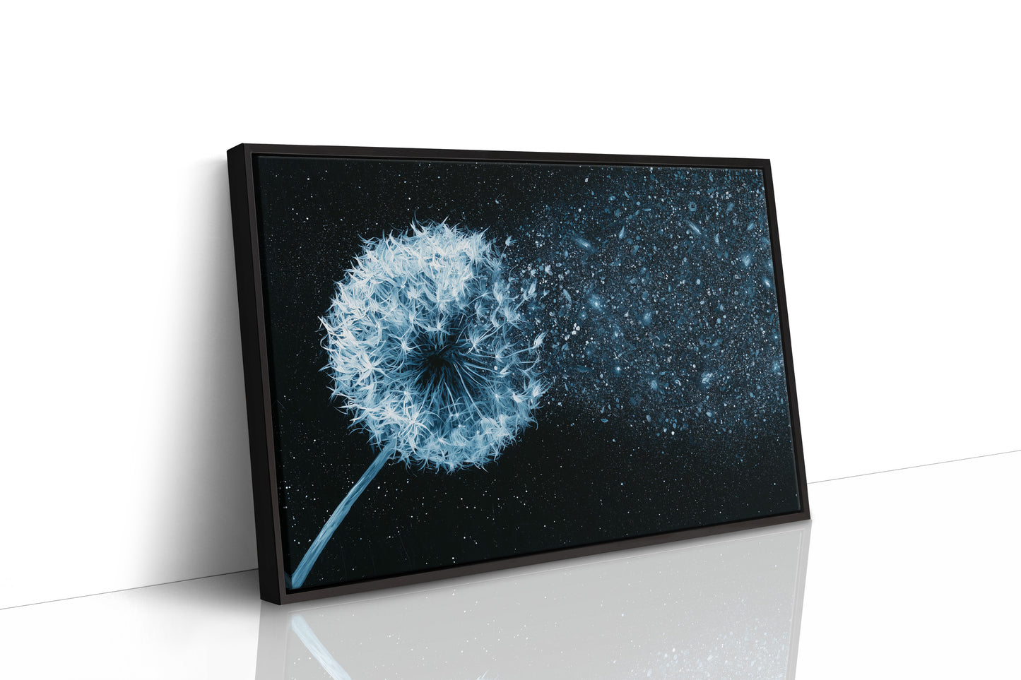 Dandelion Becomes Stardust