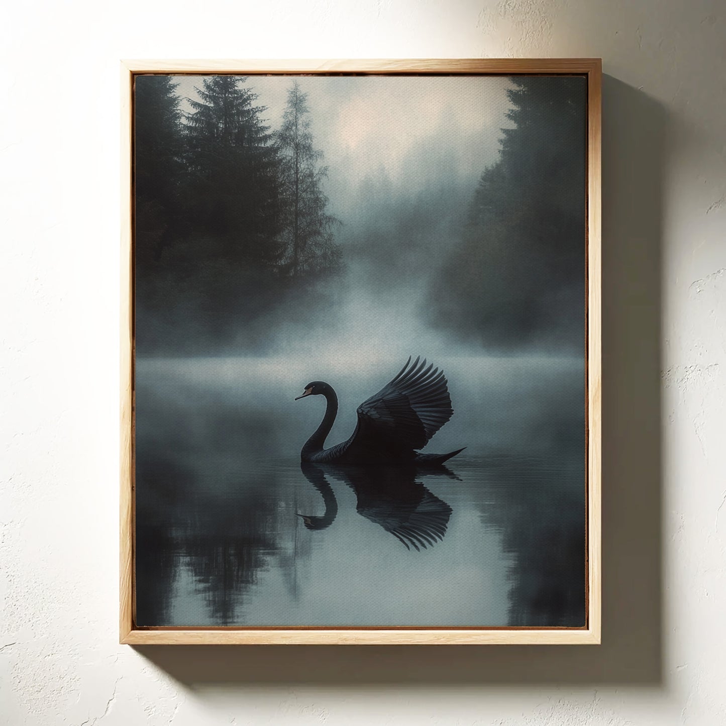 Black Swan in Morning Fog