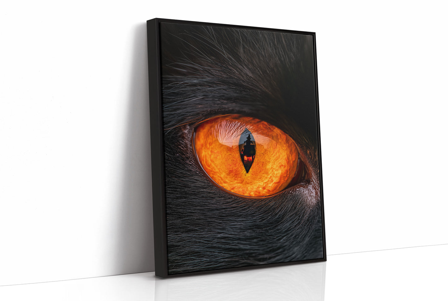 What the Cat's Eye Saw