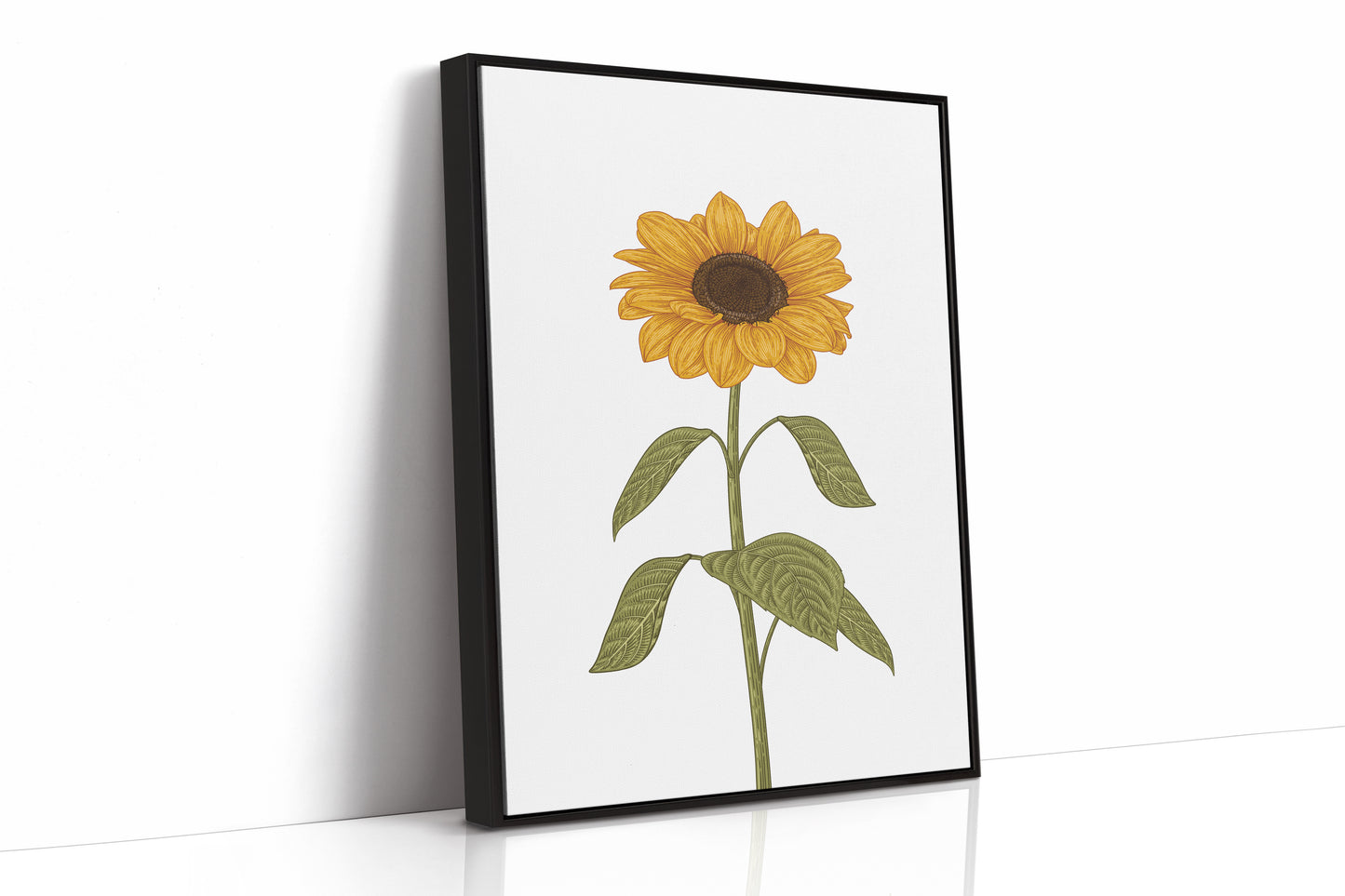 Golden Petals Follow Morning Light