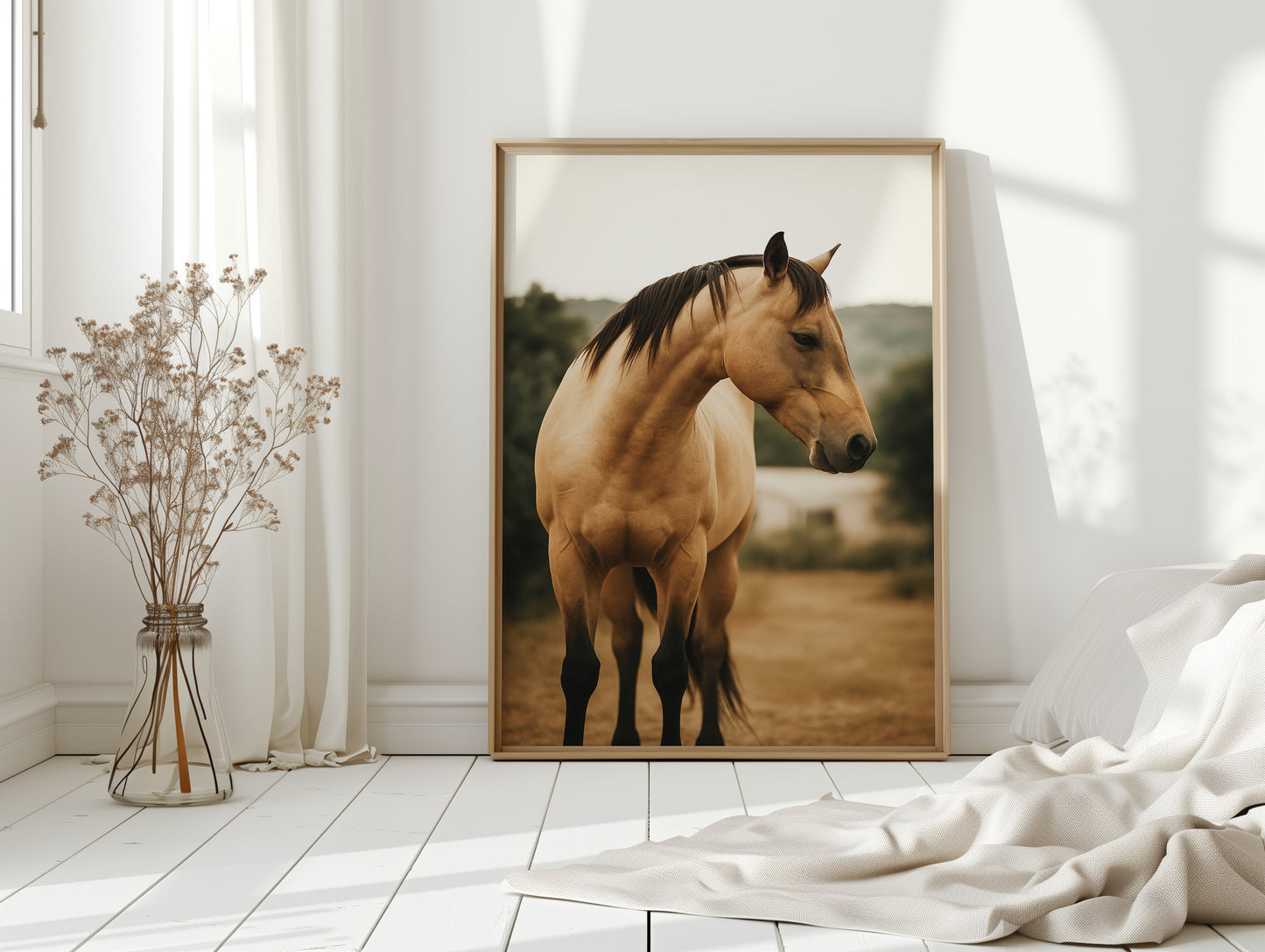 Buckskin Beauty in the Evening Light