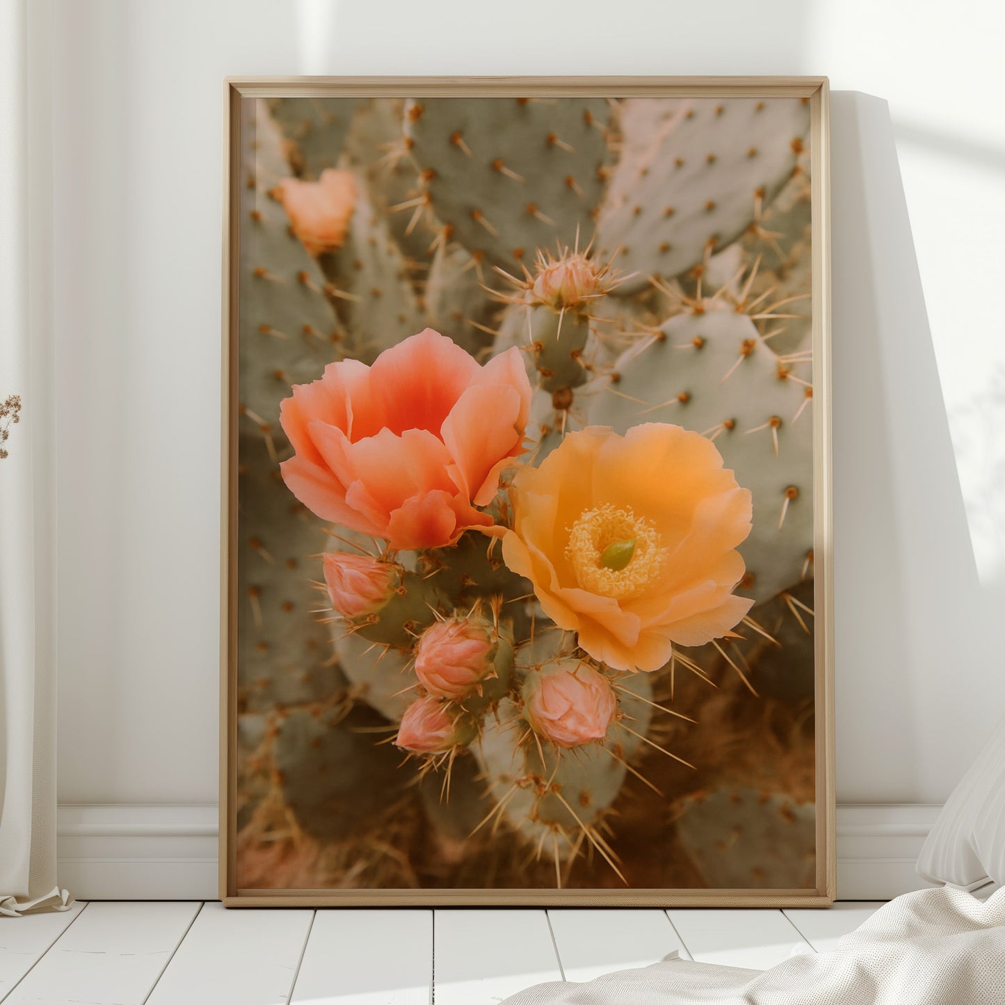Blooming Cactus in Desert Light