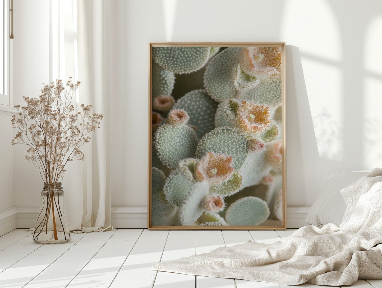 Soft Bloom on Fuzzy Desert Cactus