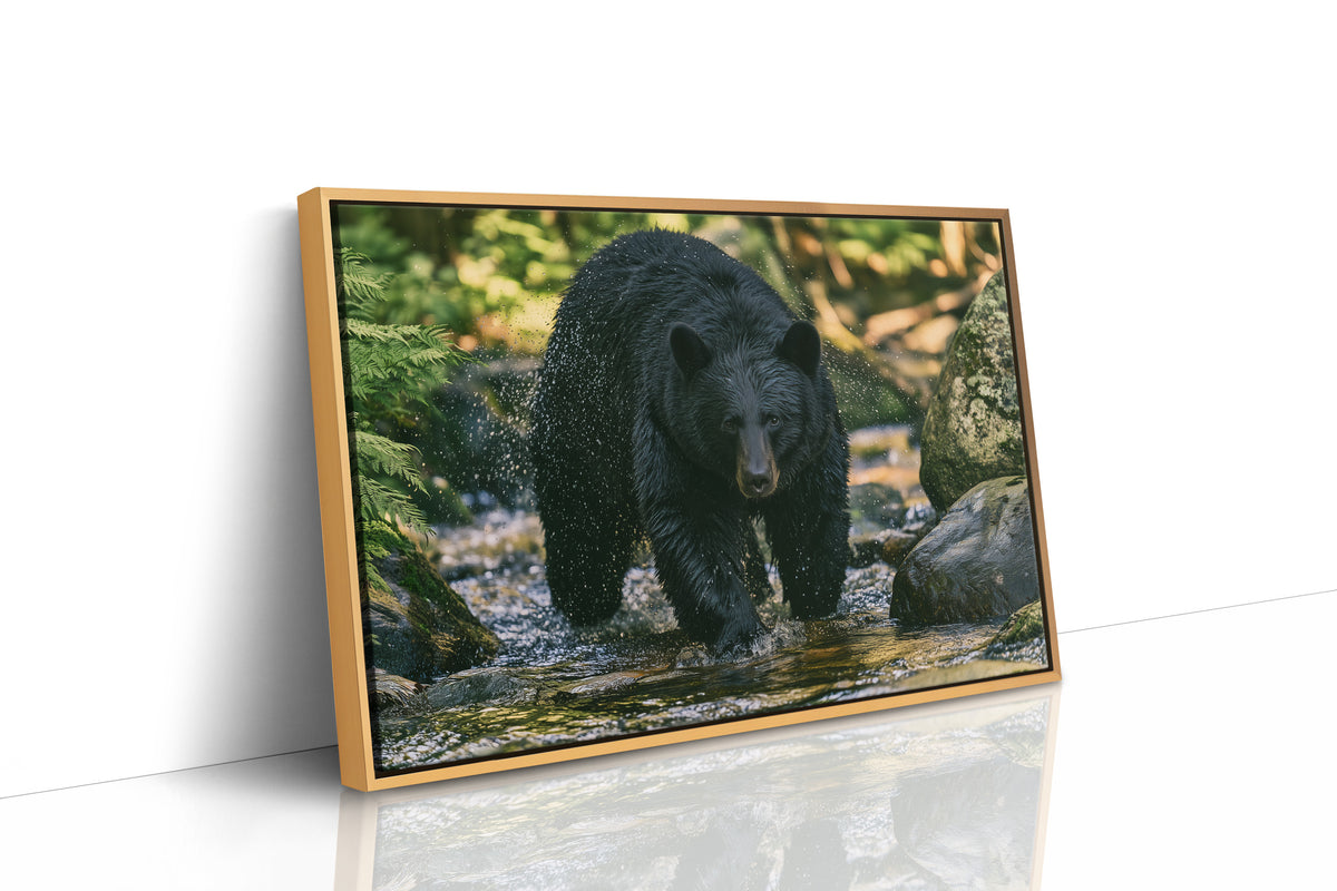 Black Bear at the Water's Edge