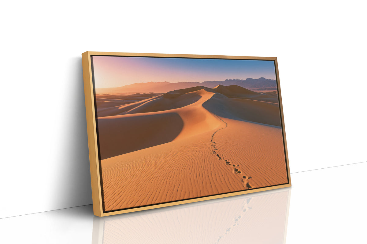 Footprints Over Golden Dunes