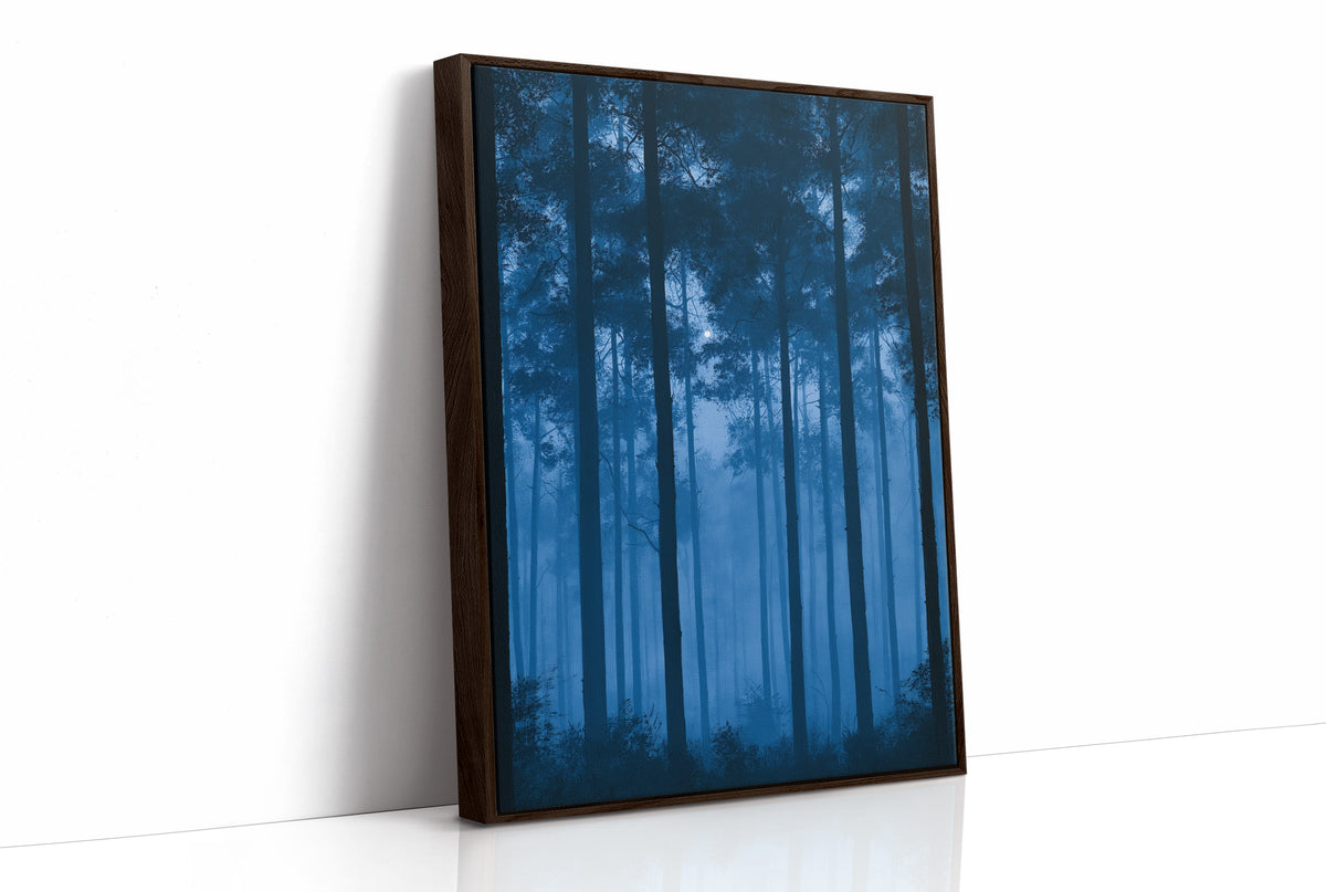 Moonrise Through the Pines