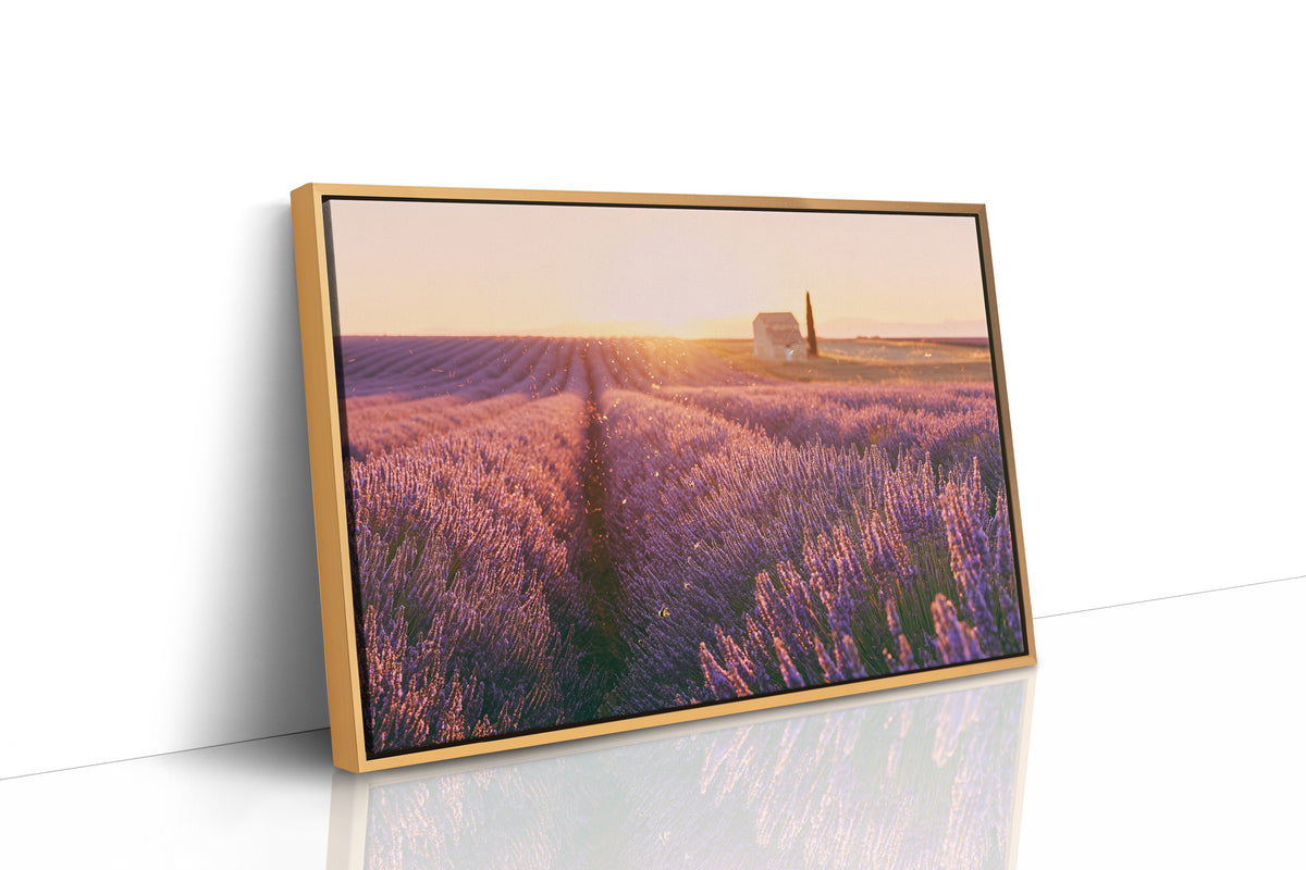 Golden Hour in Provence