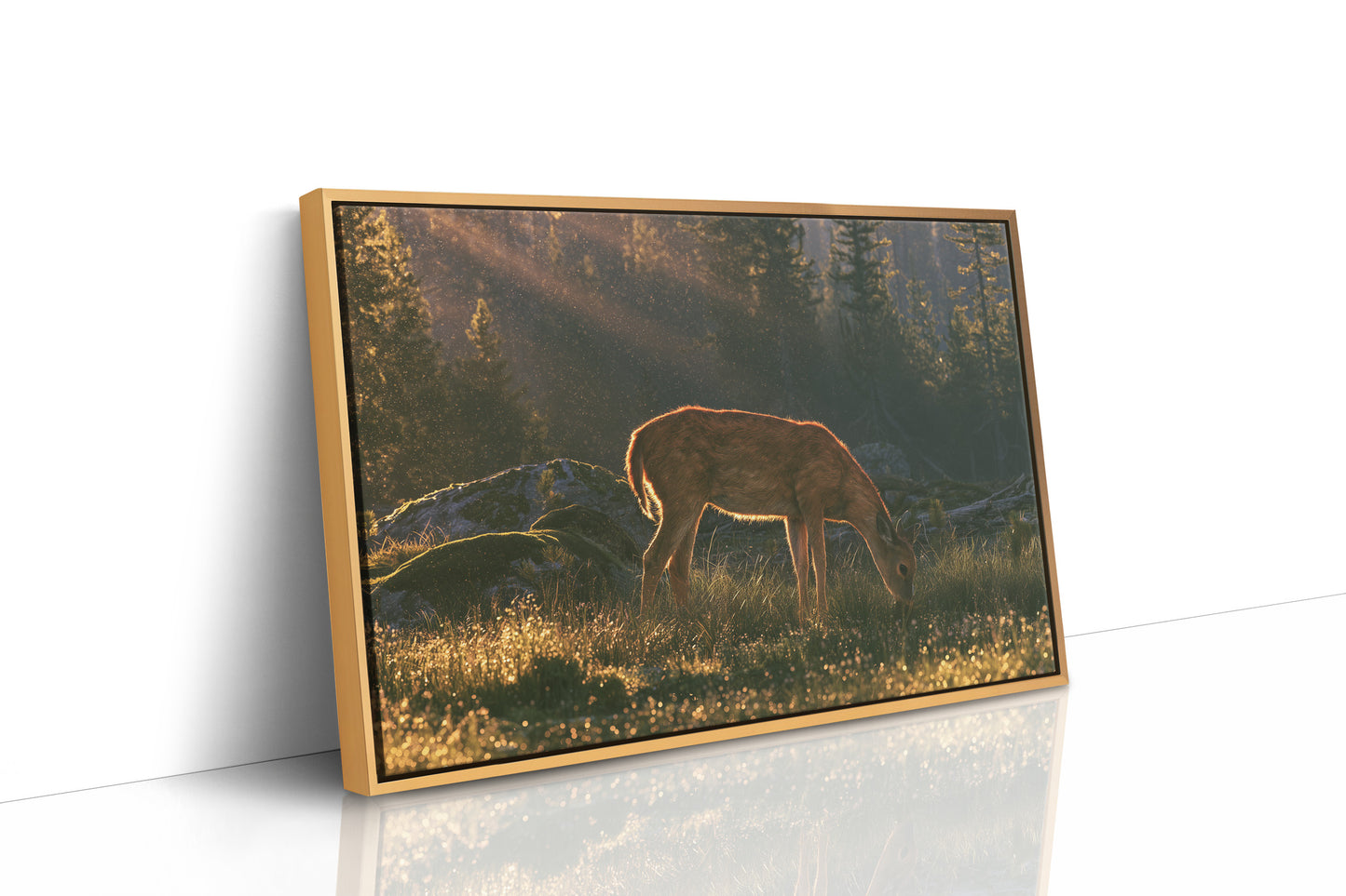 Grazing in the Golden Dew