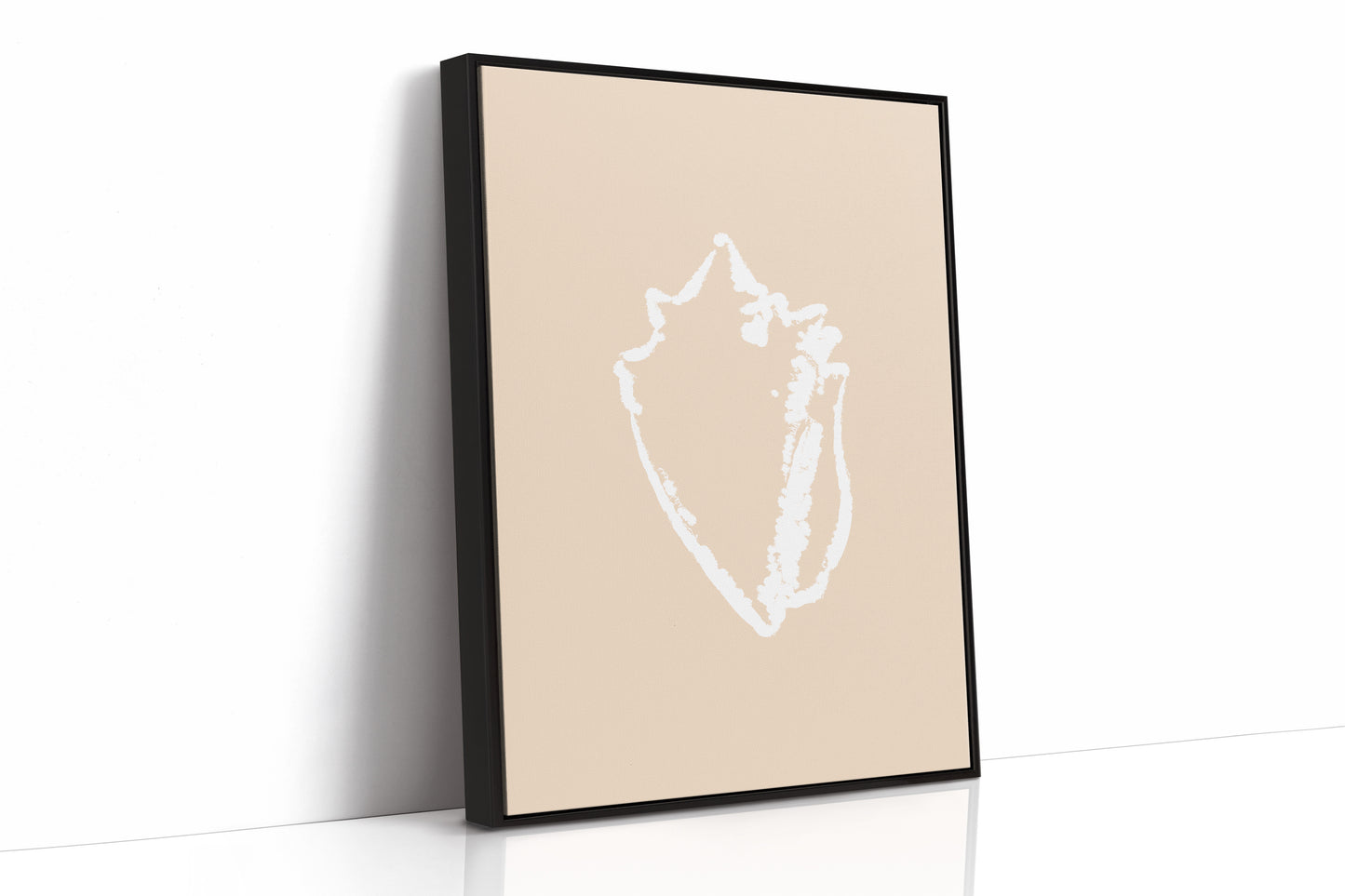 Seashell Sketches In Blush Light