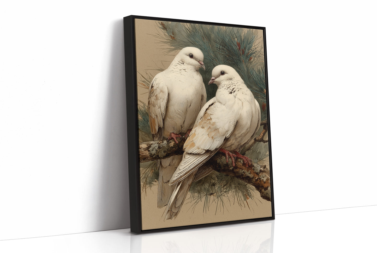 Two White Doves at Rest