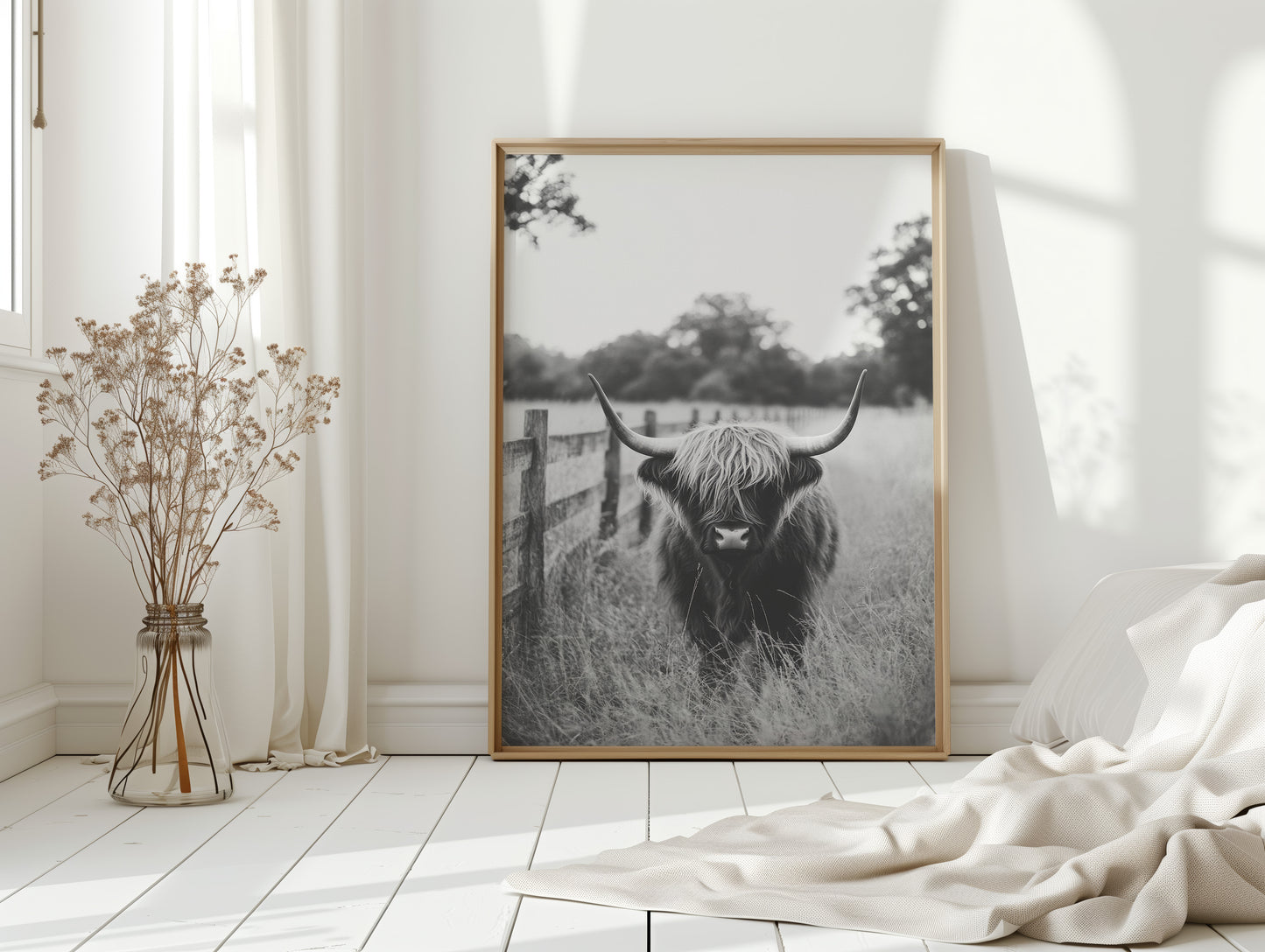 Highland Gaze in Black and White