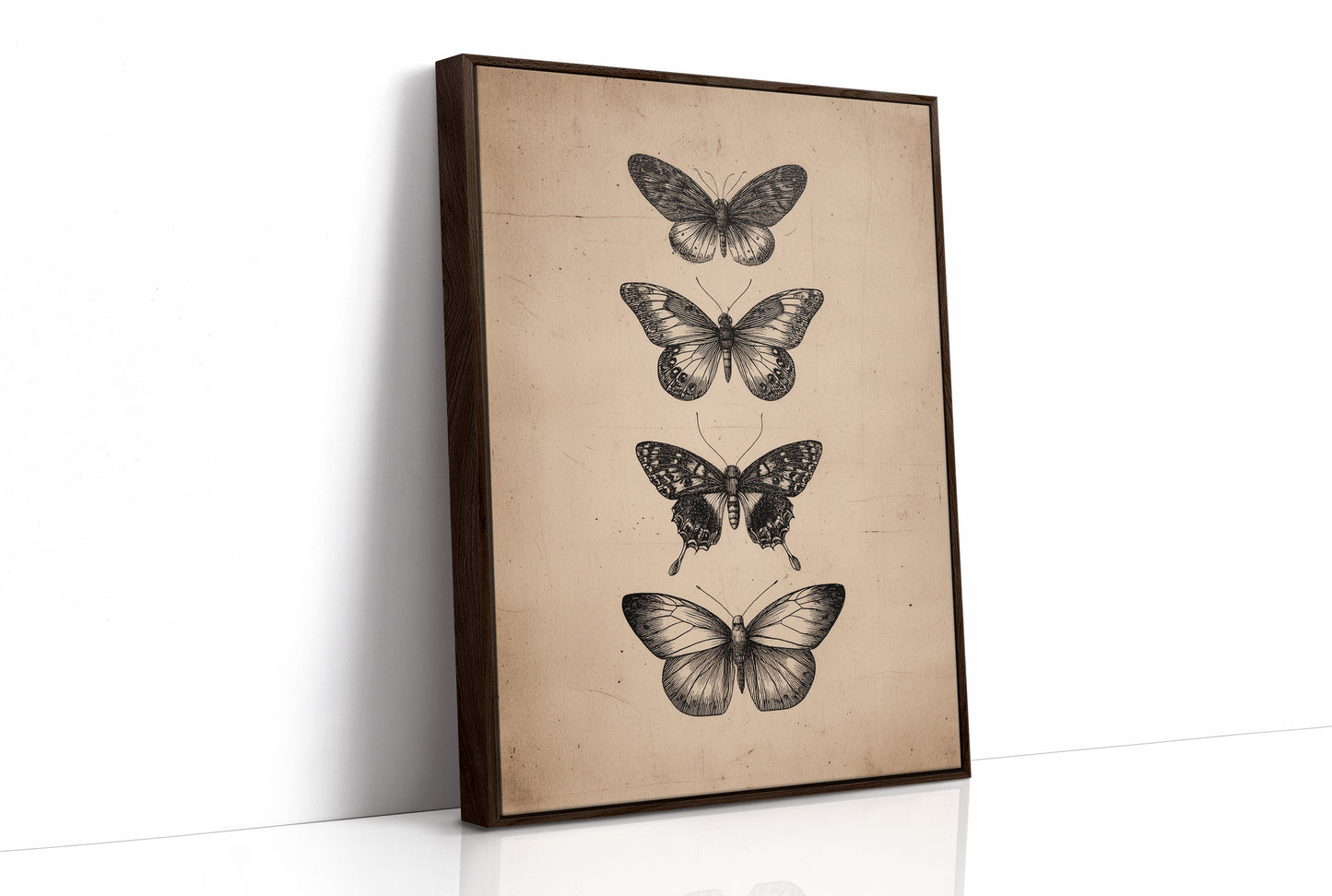 Specimen Study In Soft Light