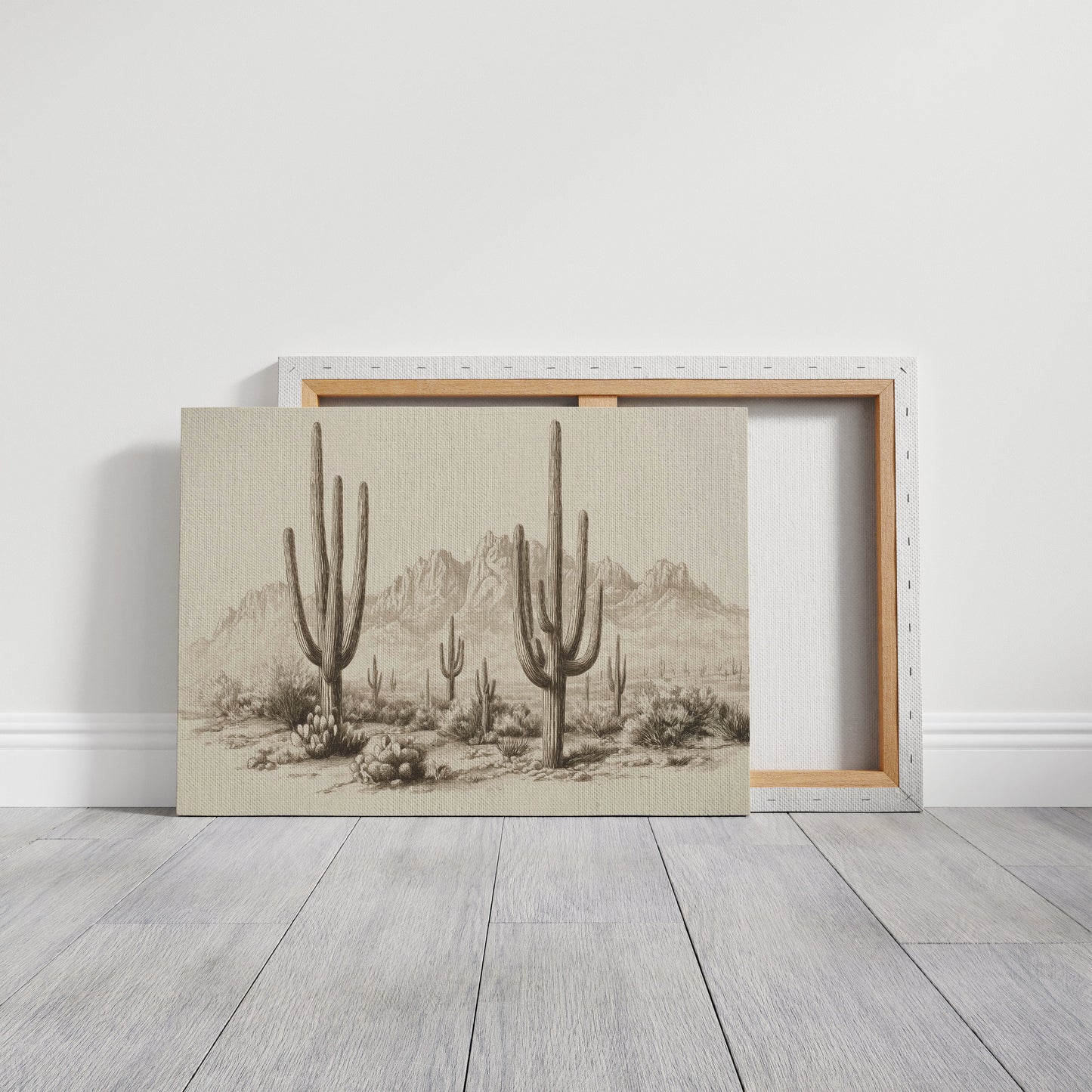 Saguaros Keep Ancient Mountain Secrets