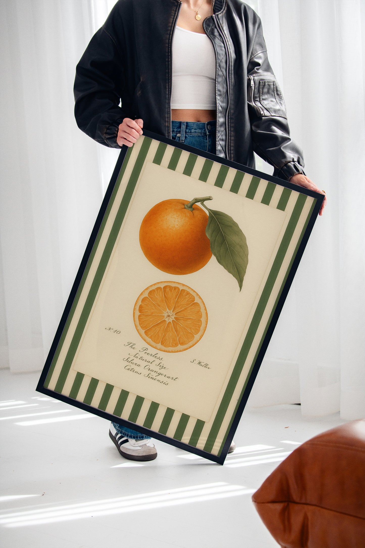 Vintage Orange Slice Botanical Study
