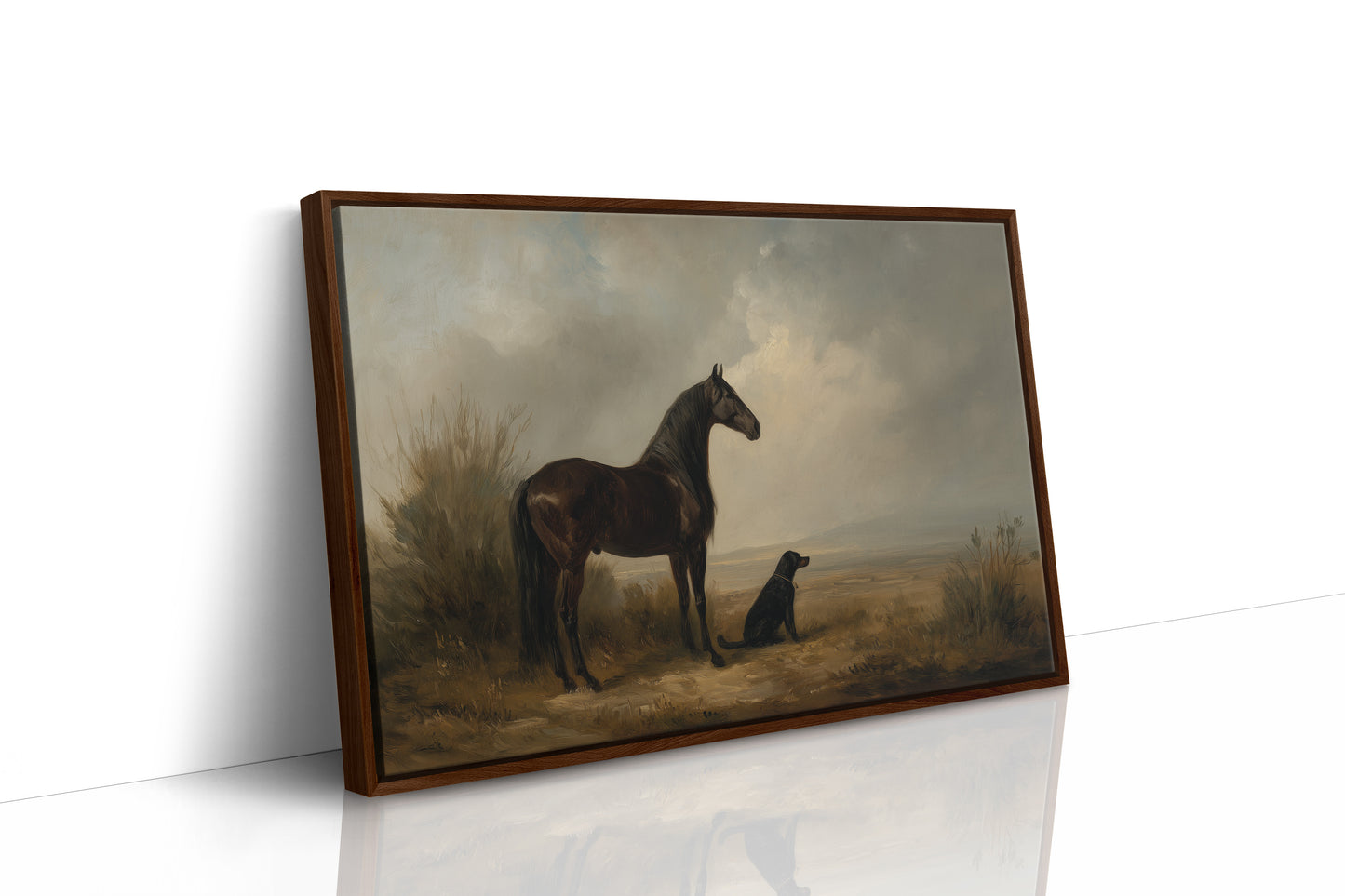 Noble Steed Shares Dawn With Friend