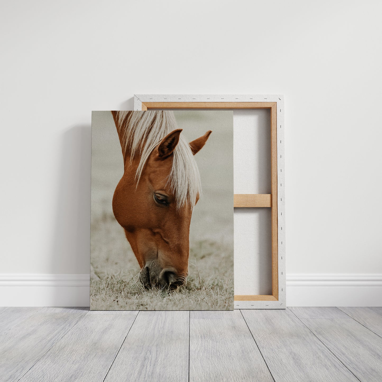 Quiet Morning Graze with Golden Mane