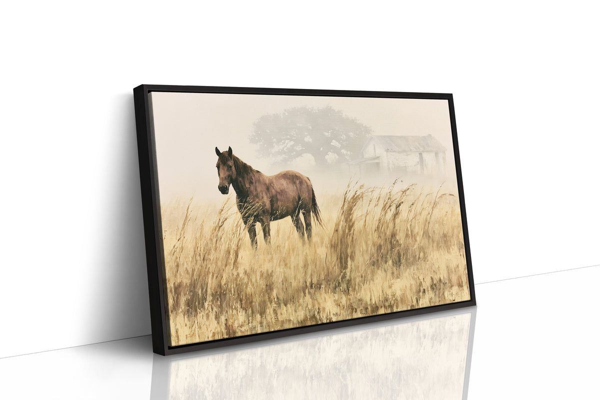 Bay Horse in the Golden Field