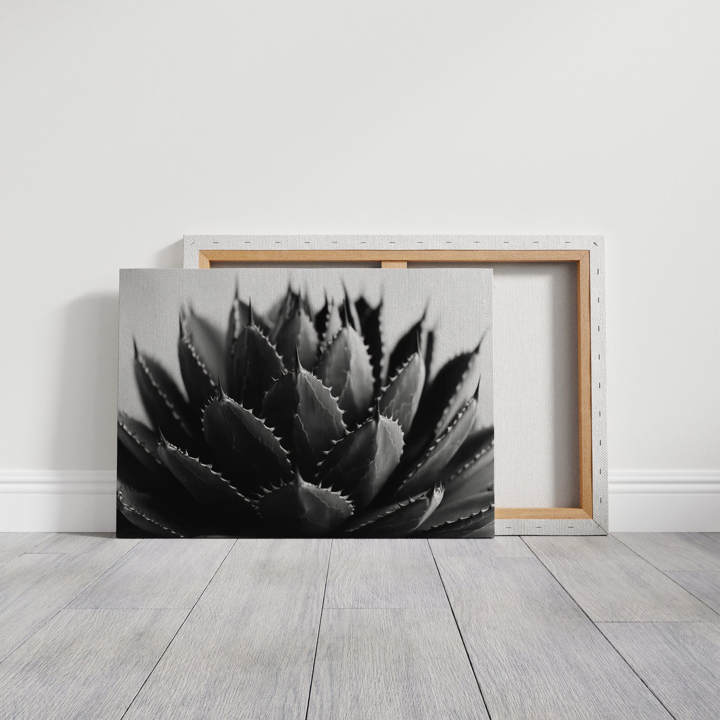 Desert Spines Dance In Moonlight