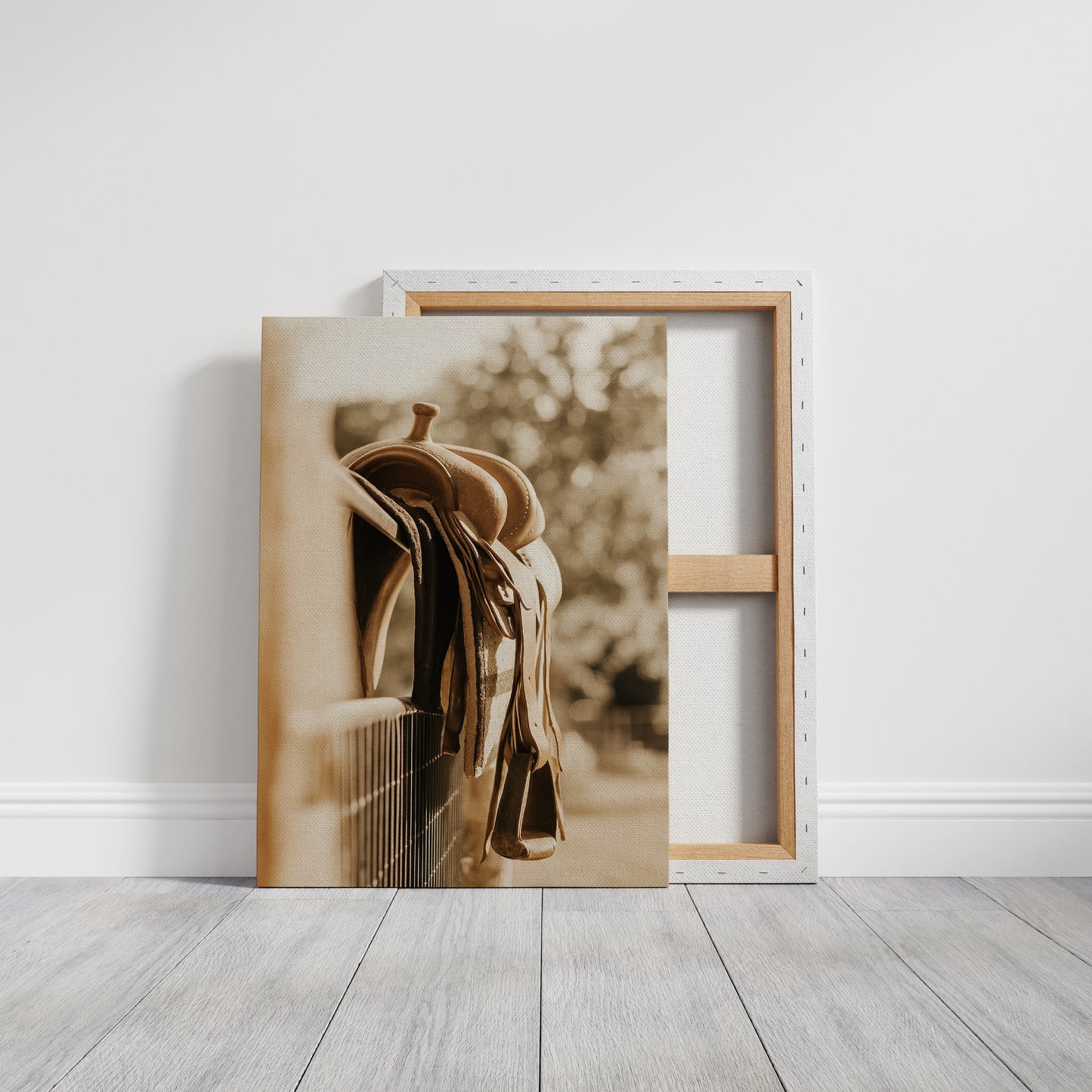 Worn Saddle Resting in the Afternoon Light