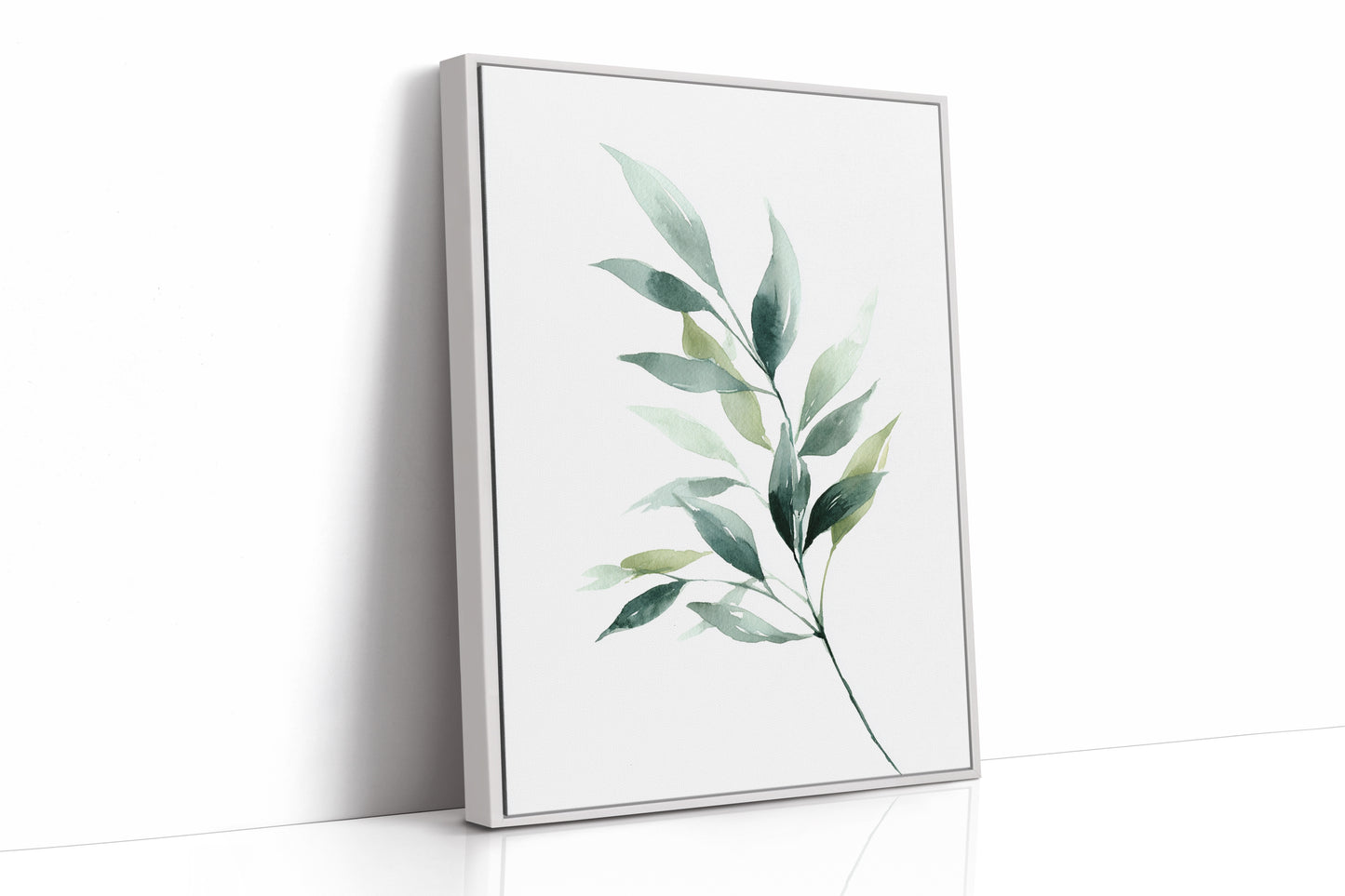 Beneath the Green Canopy