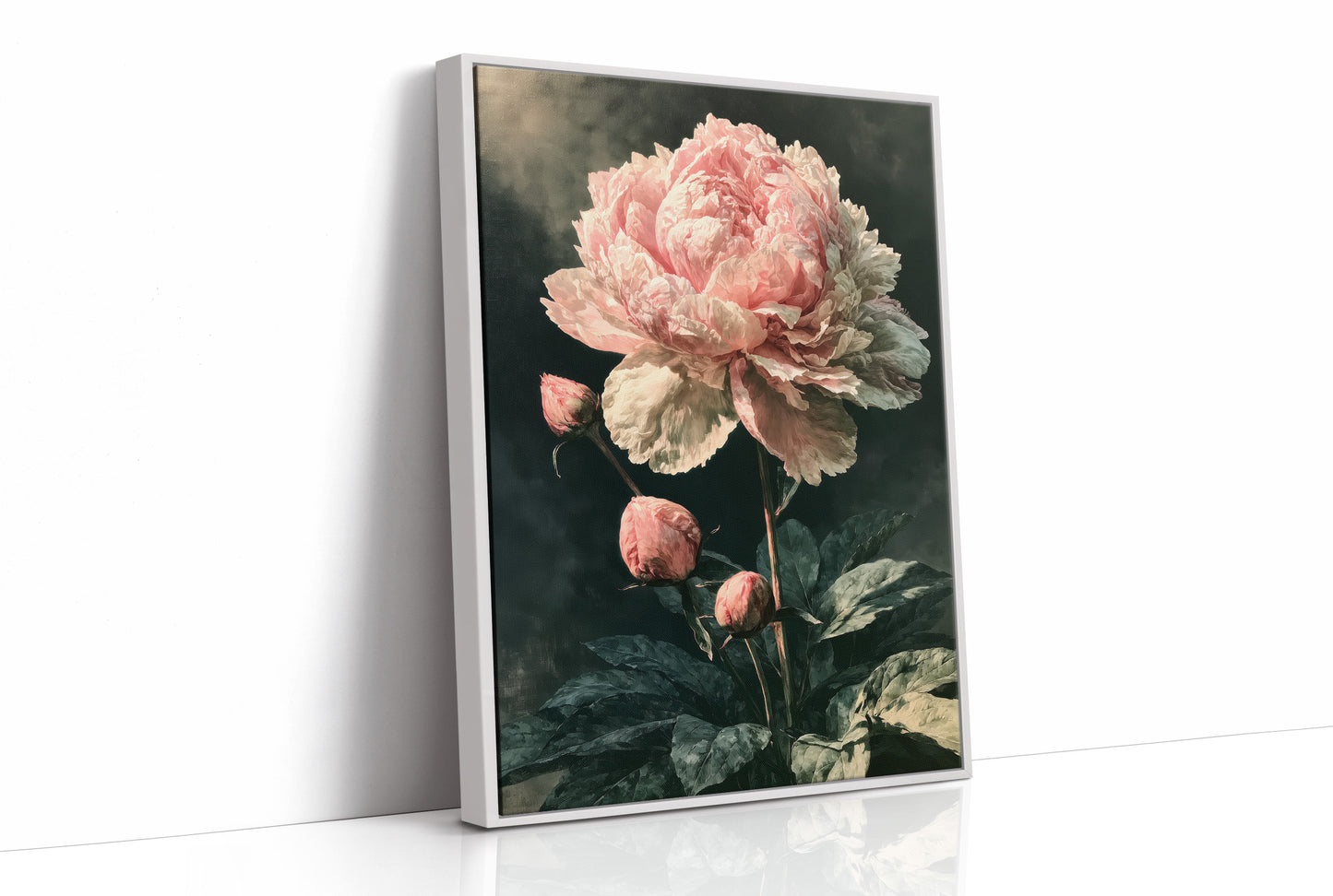 Peony Caught in Corner Light