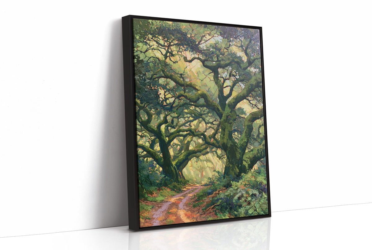 Sunlit Path Beneath the Oaks