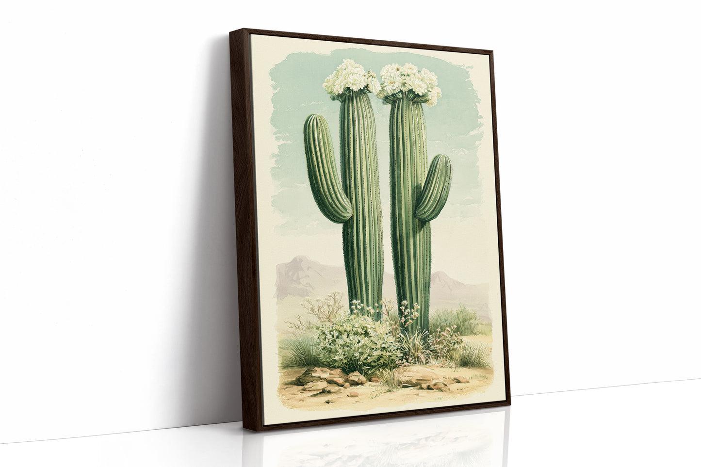 Twin Saguaros in Bloom