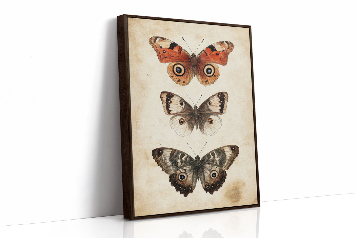 A Tapestry of Winged Wonders