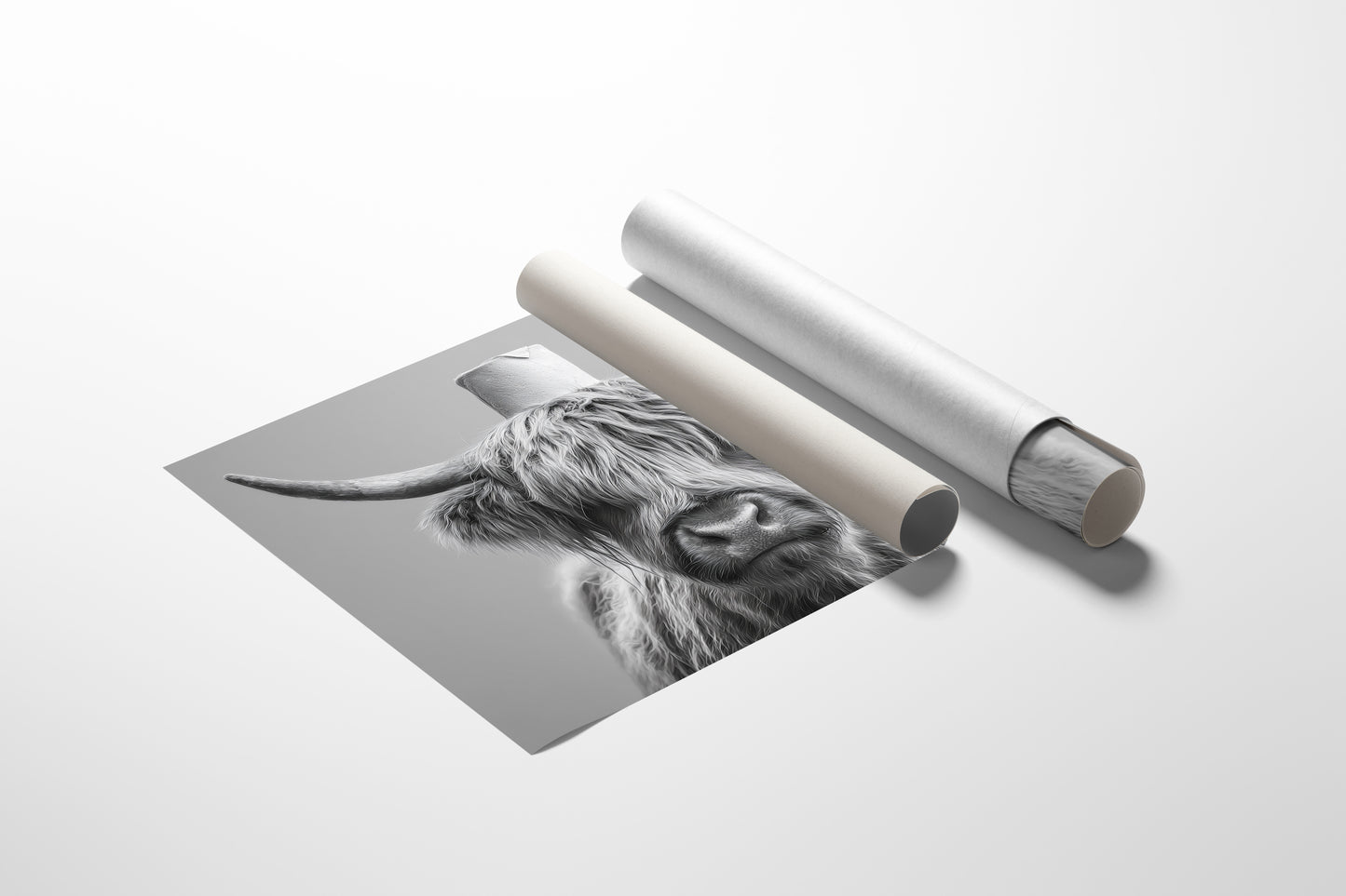 Highland Cow Wears Toilet Paper Crown