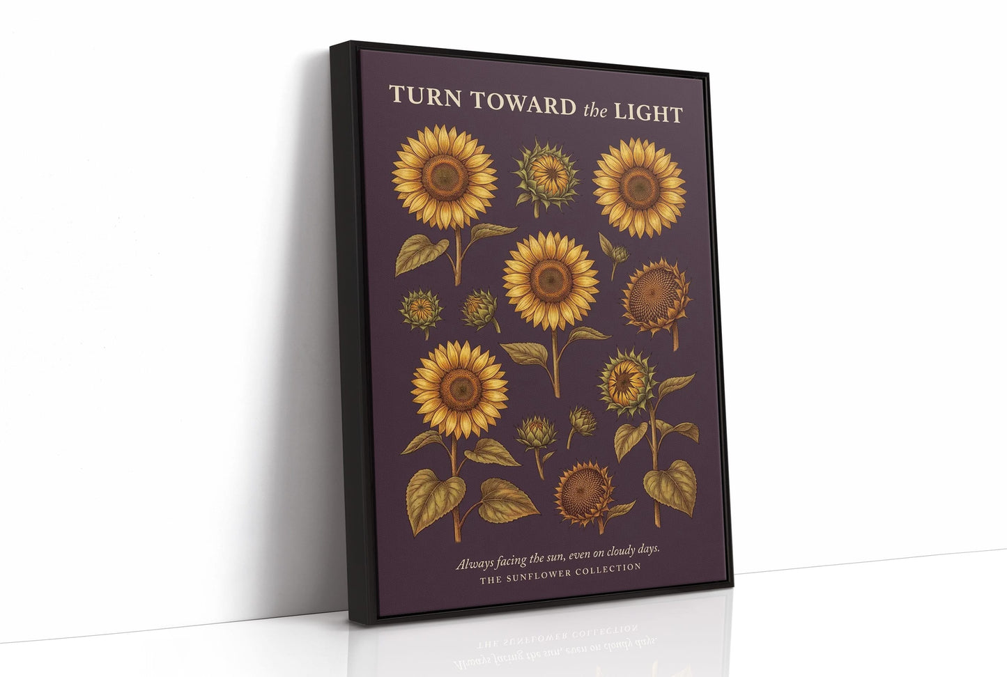 Turn Toward the Light: Vintage Sunflower Chart
