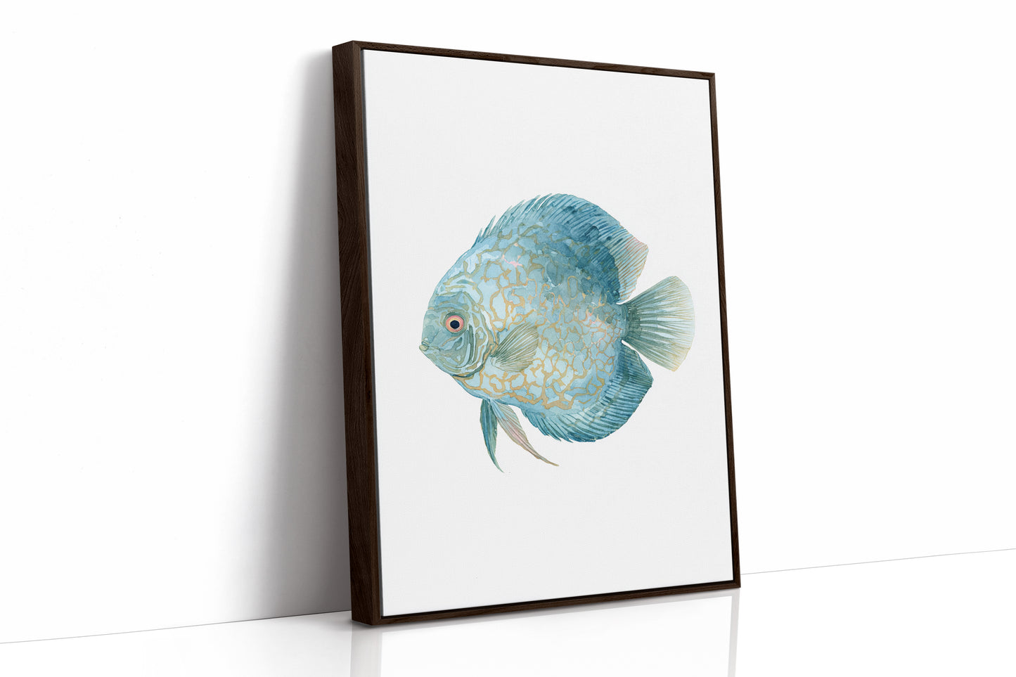 Beneath The Coral Veil